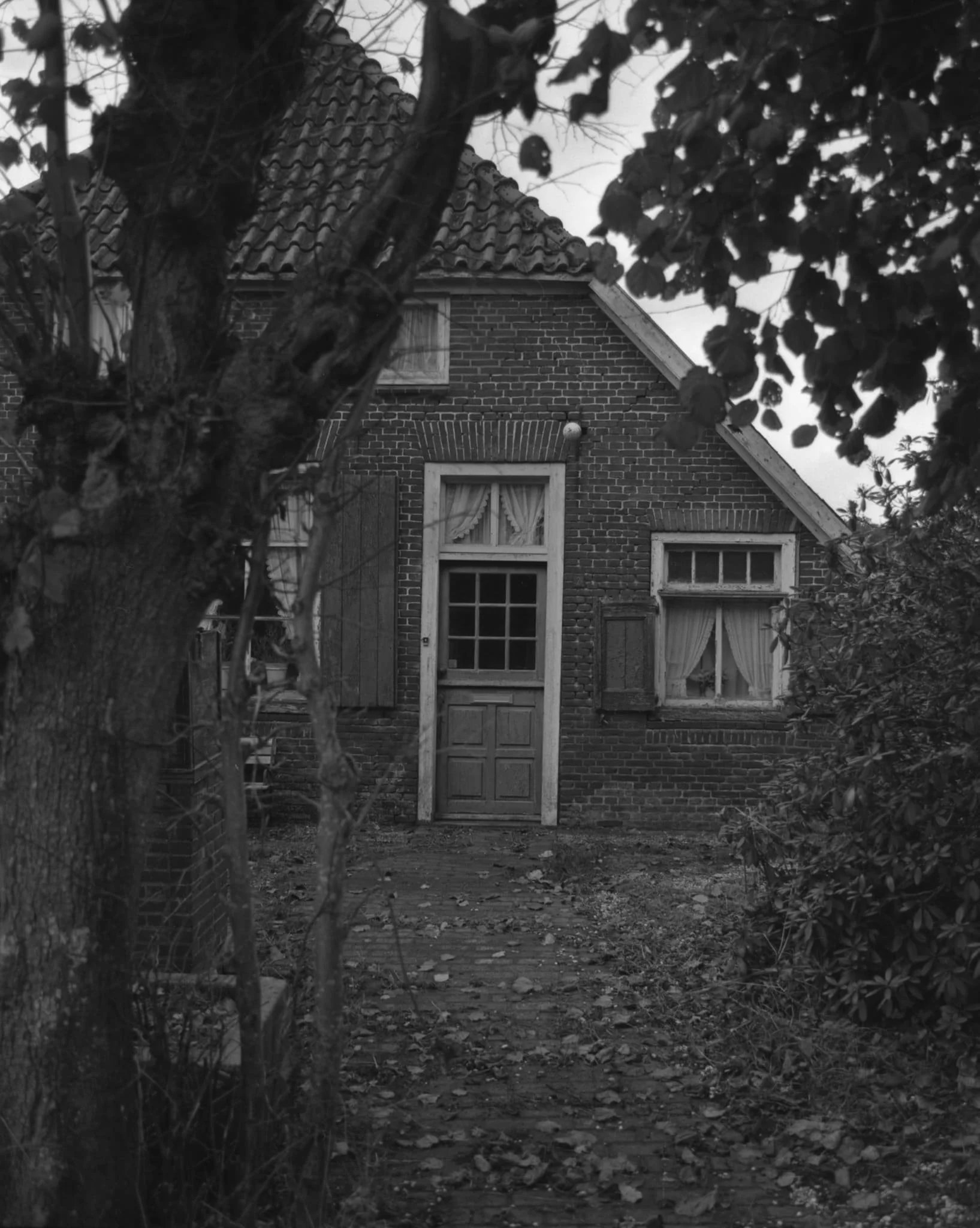 coulisse-24.jpg