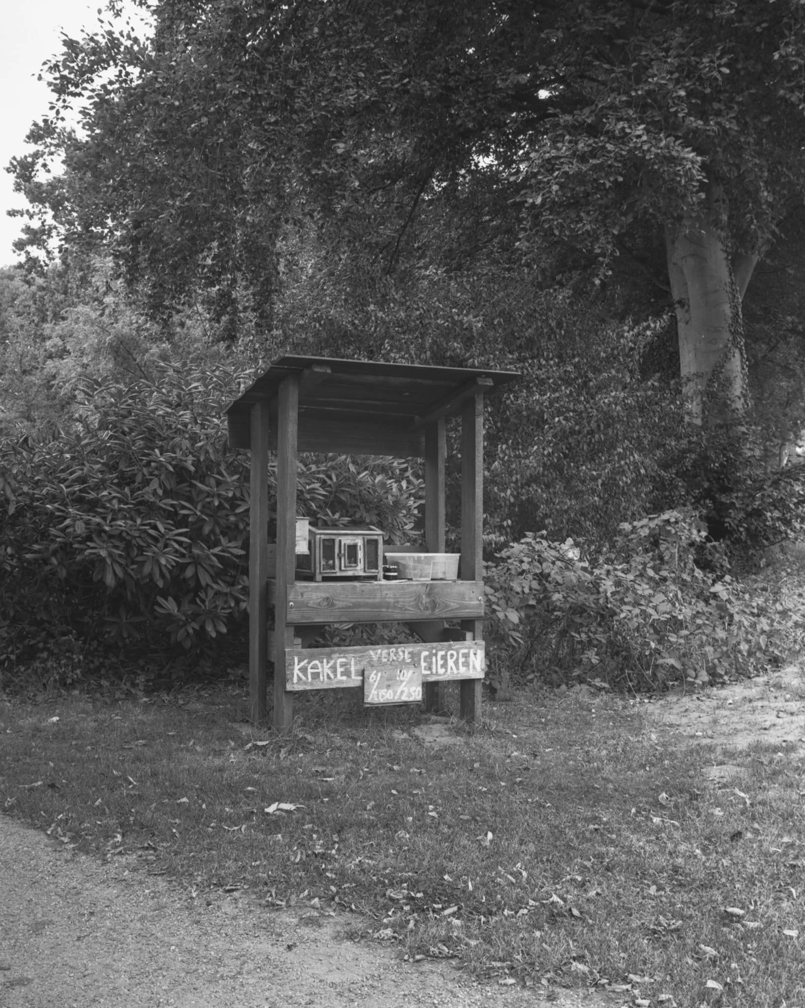 coulisse-06.jpg