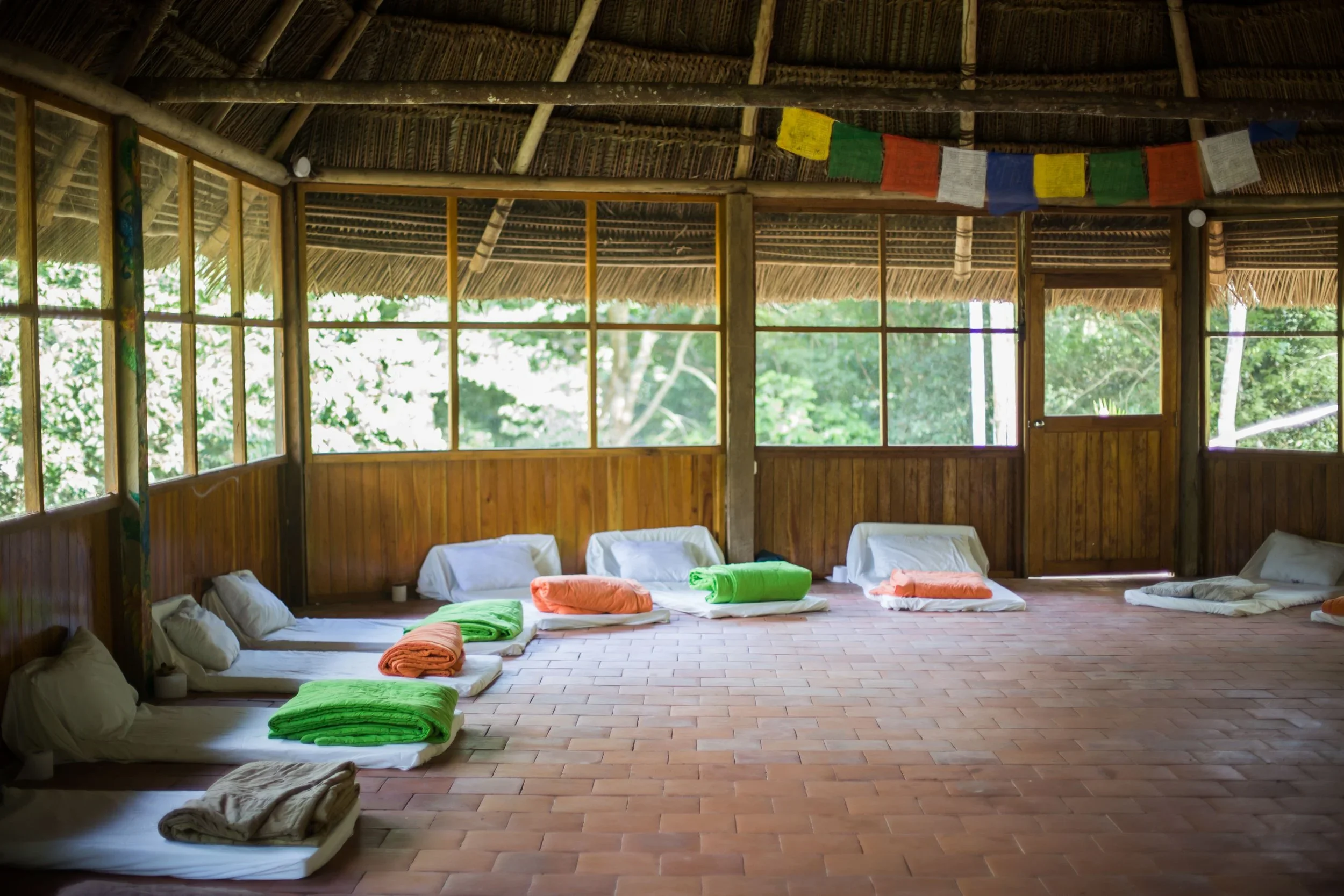 Subjective experiences of ayahuasca in the jungle