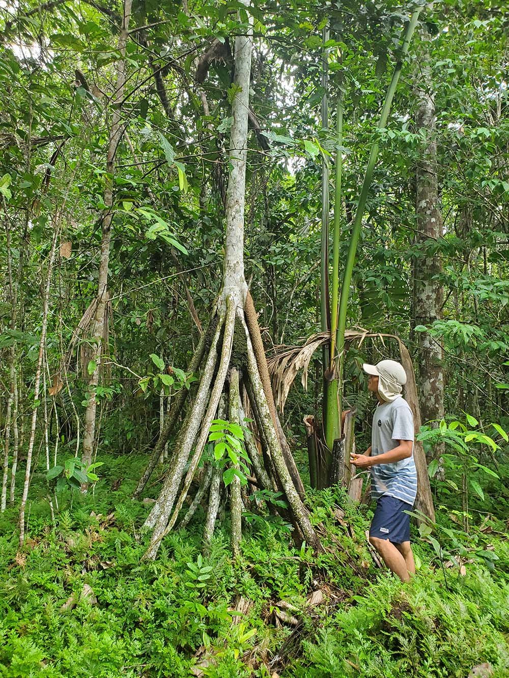 Exploring the Therapeutic Effects of Psychedelics Administered to Military Veterans in Naturalistic Retreat Settings (2025)