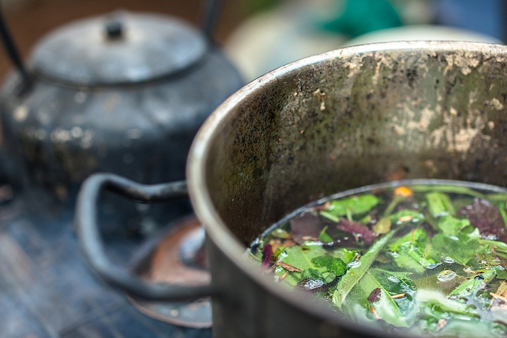 The pharmacological interaction of compounds present in ayahuasca - a systematic review (2020)