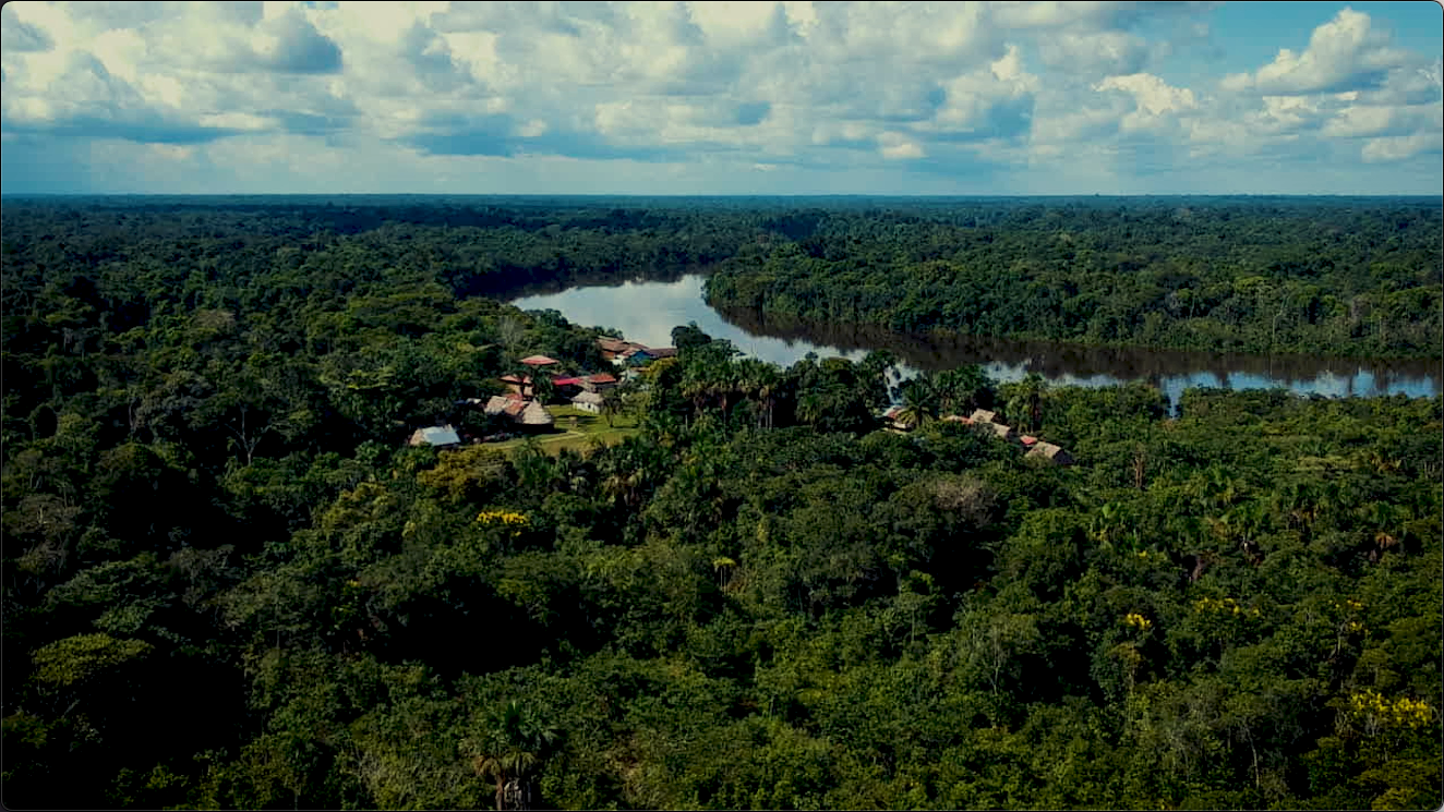 JungleDrone_Dark_2.png