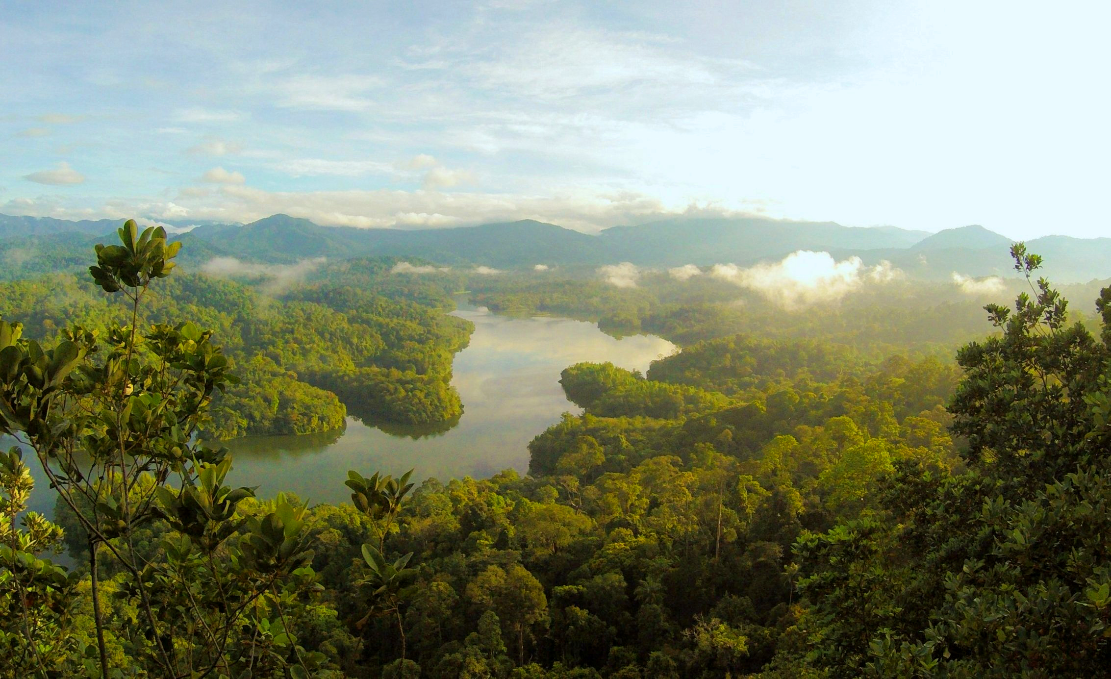 OnayaSience_Header-2.png