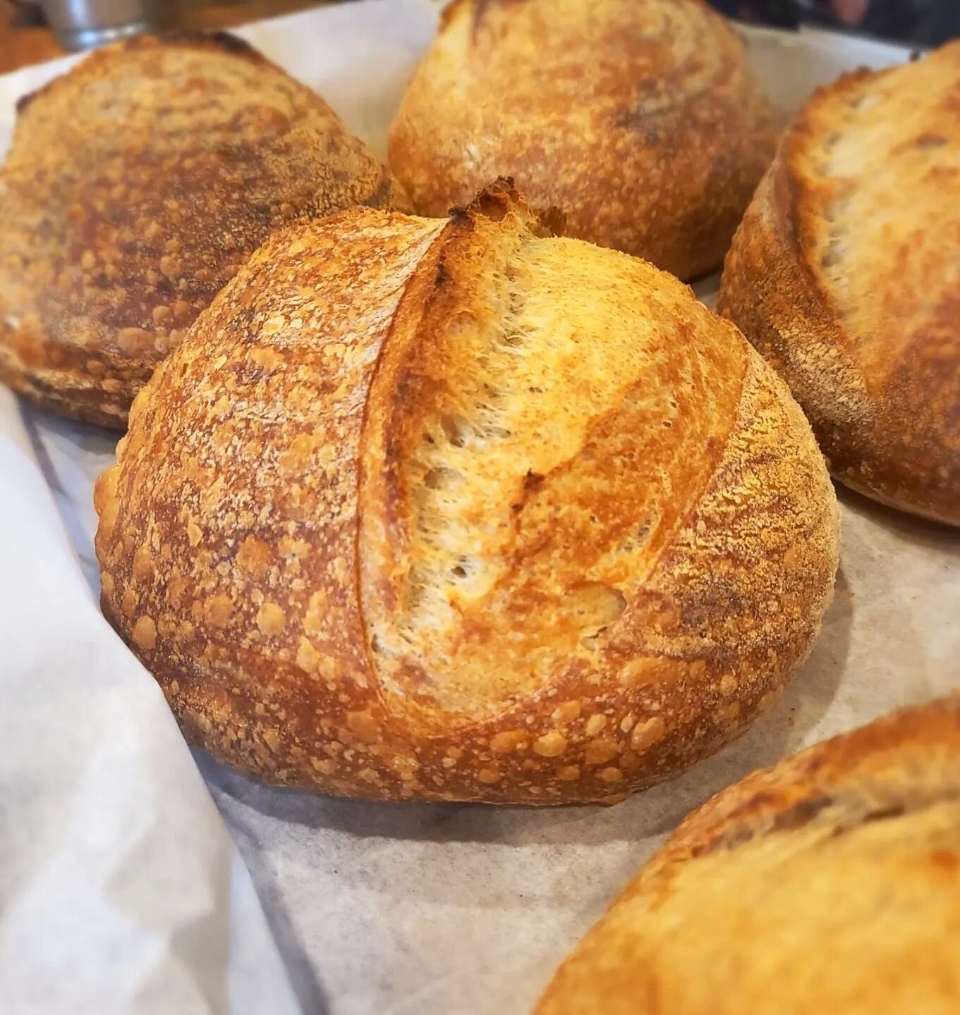 Fresh sourdough baked daily! 

We love the alchemy of sourdough and the little adjustments that get made each day depending on temperature and humidity. Working with a live starter means each day is a little different. Fiona (our starter) seems extra