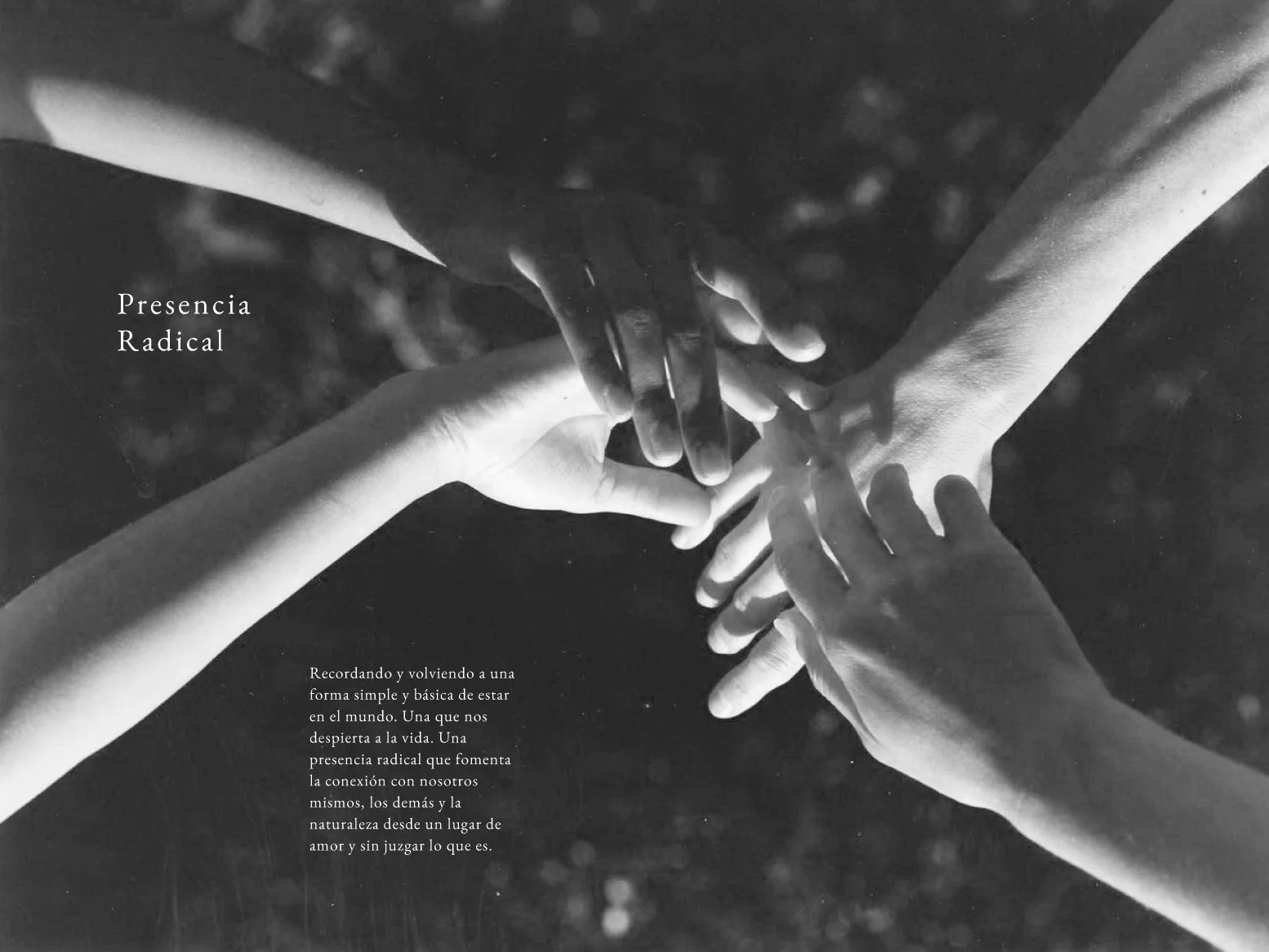 sendero portafolio-46.jpg