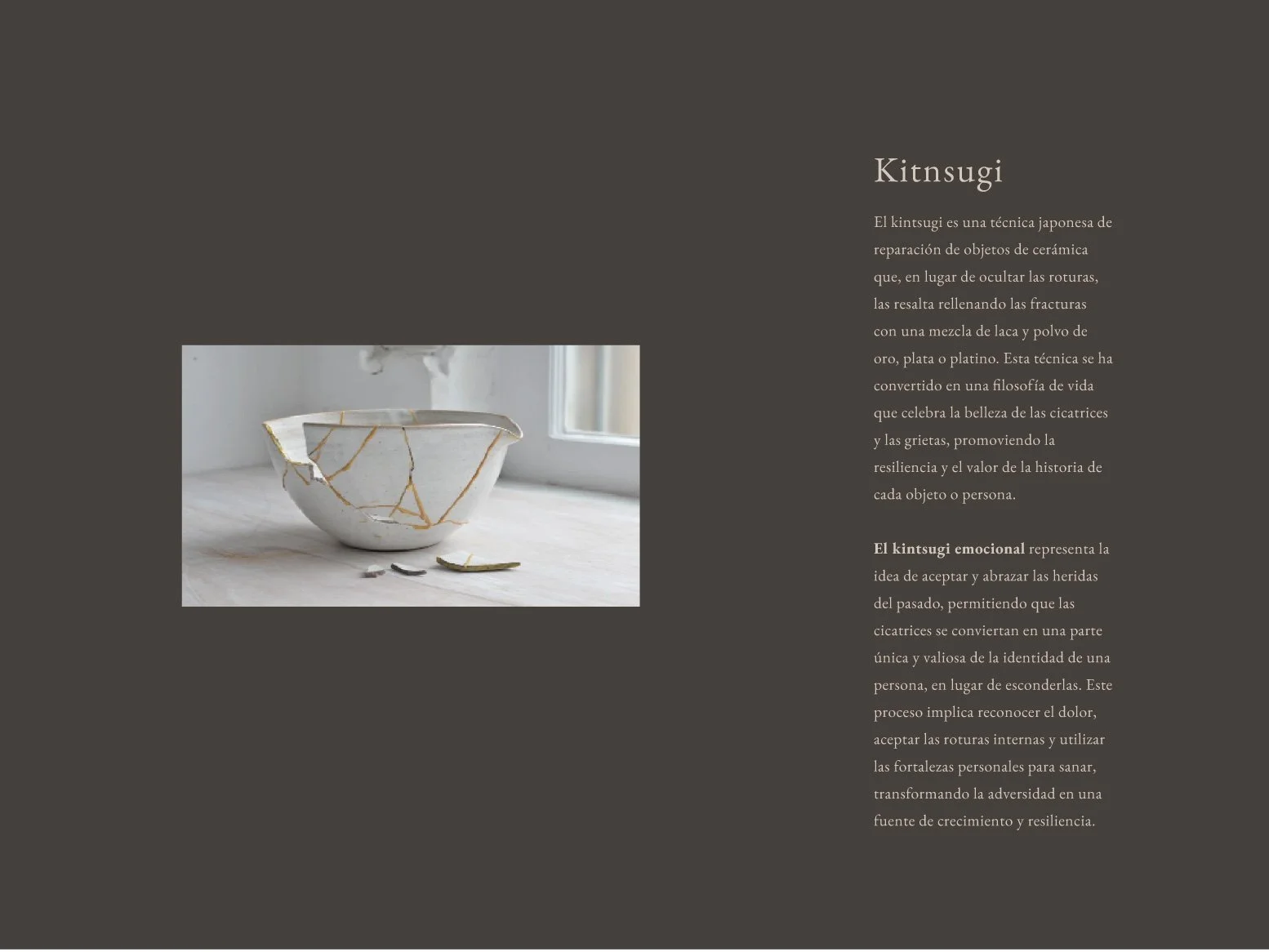 sendero portafolio-35.jpg