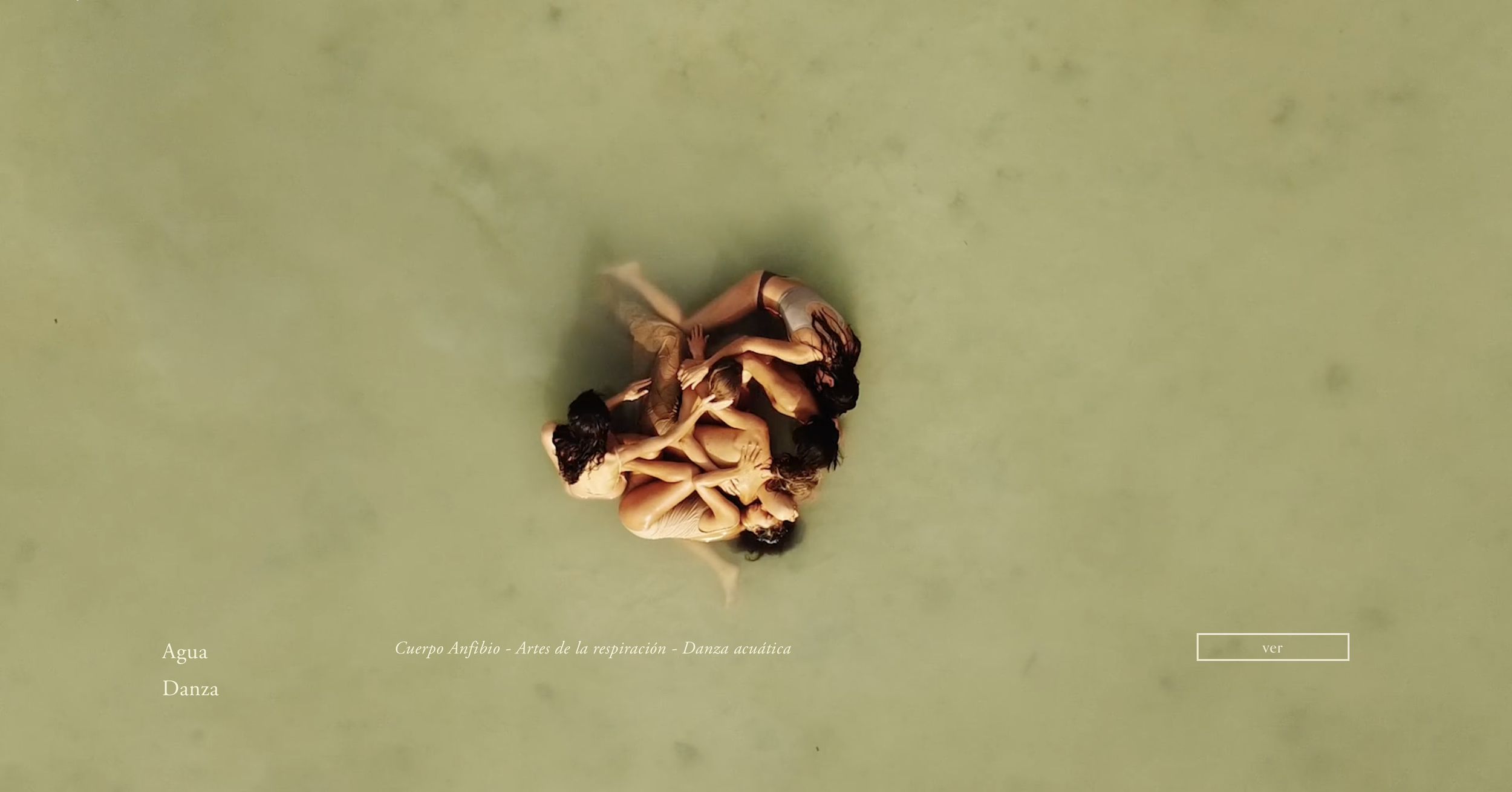Captura de pantalla 2025-09-21 a la(s) 8.17.11 p. m..png
