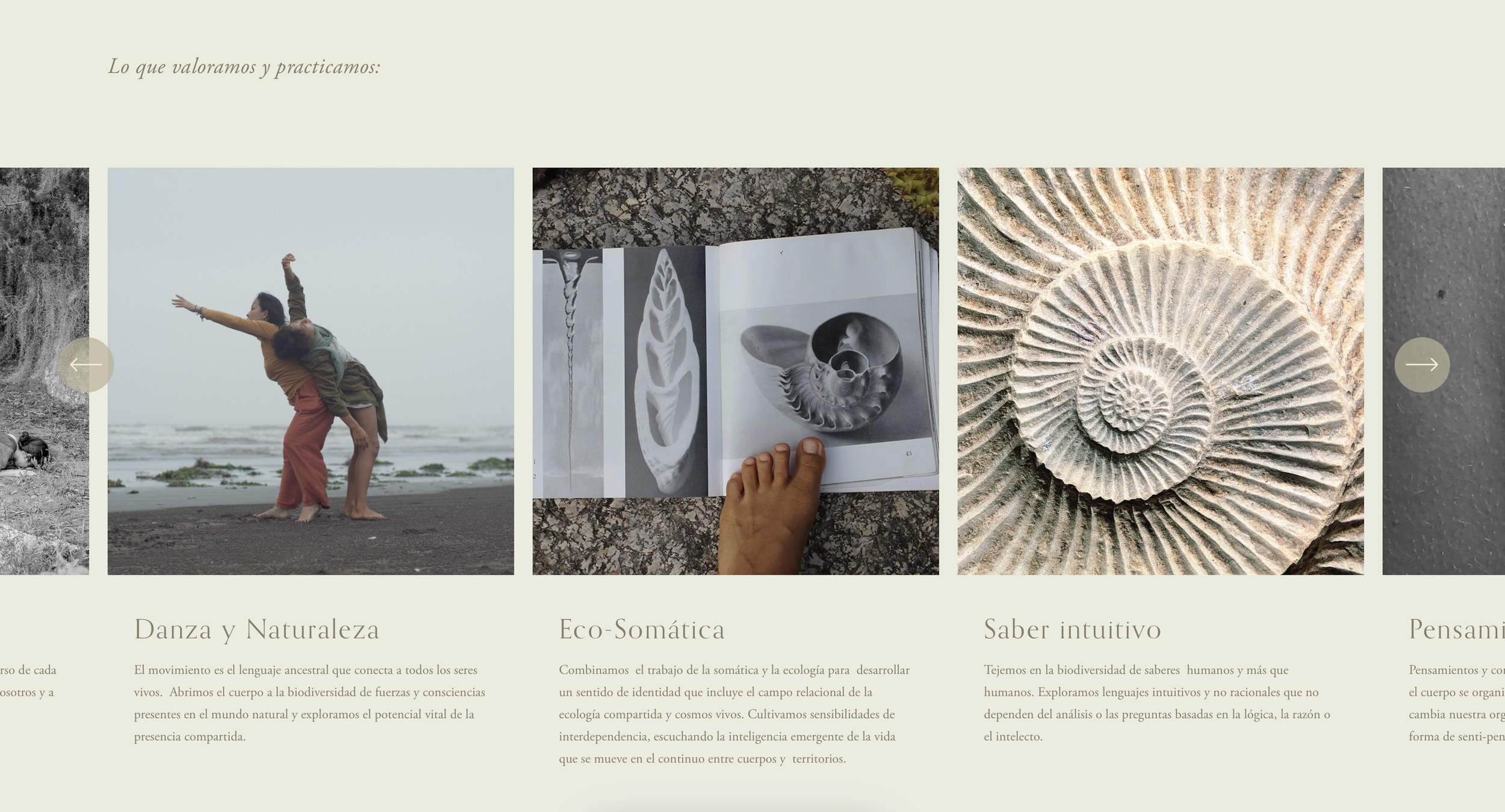 Captura de pantalla 2025-09-21 a la(s) 8.17.51 p. m..png