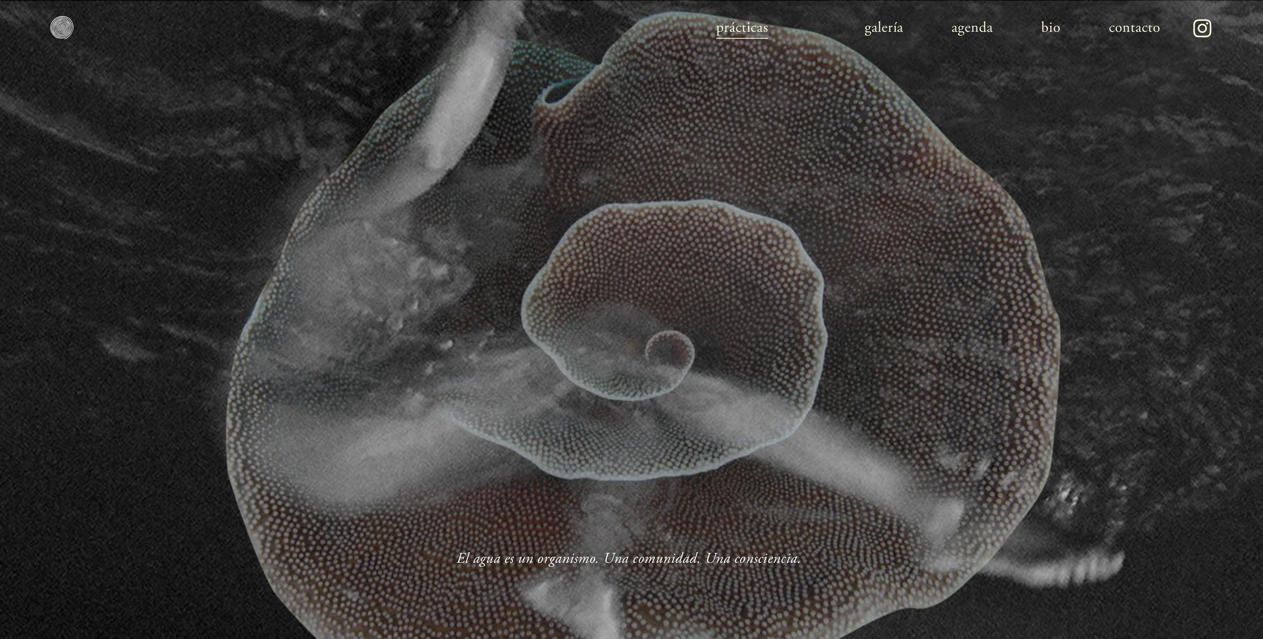 Captura de pantalla 2025-09-21 a la(s) 8.19.33 p. m..png