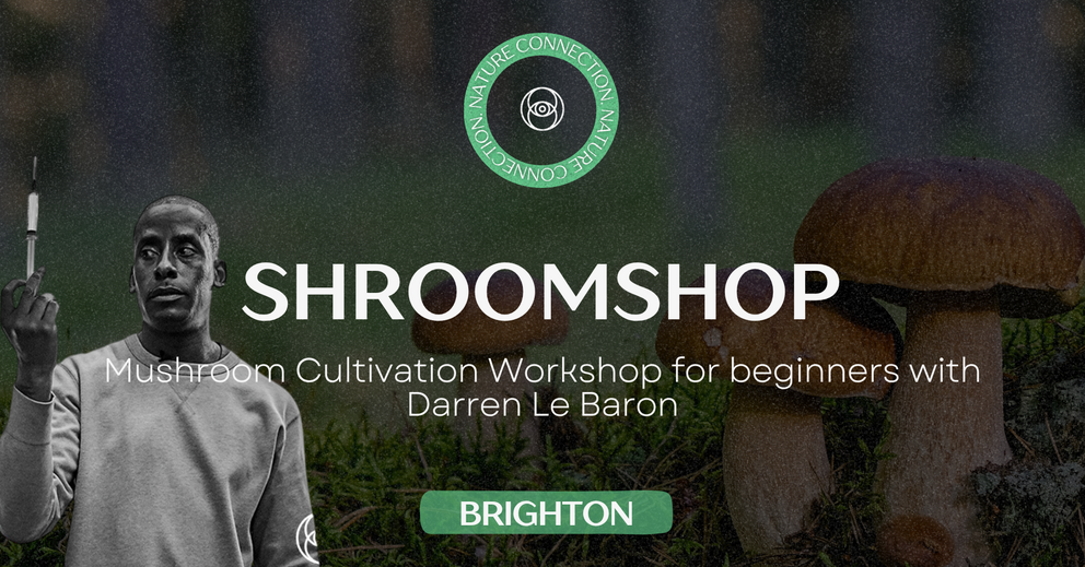 Shroomshop Brighton: Mushroom Cultivation Workshop