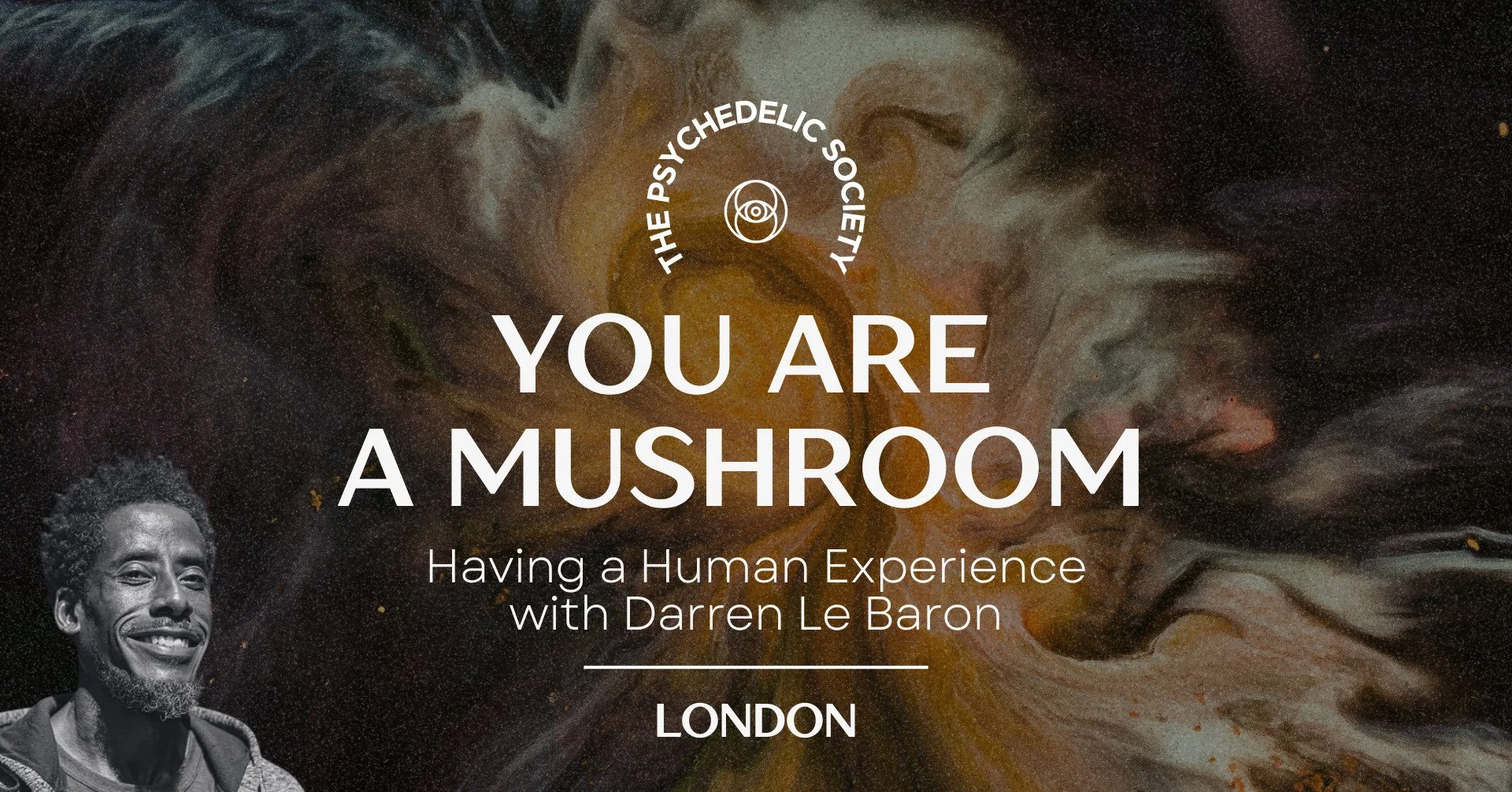 You Are A Mushroom Having A Human Experience