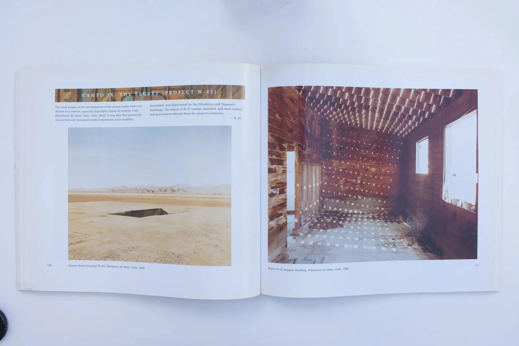 Richard Misrach. 4.jpg