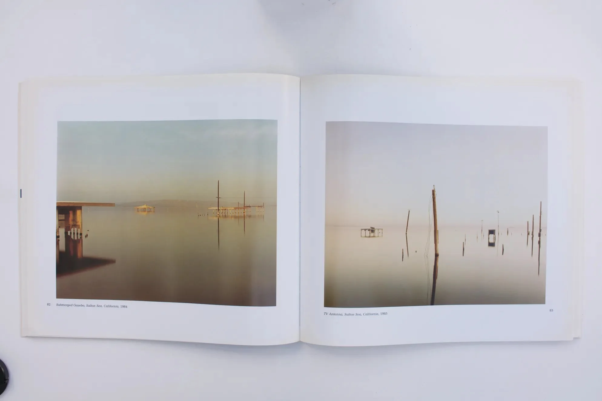 Richard Misrach. 2.jpg