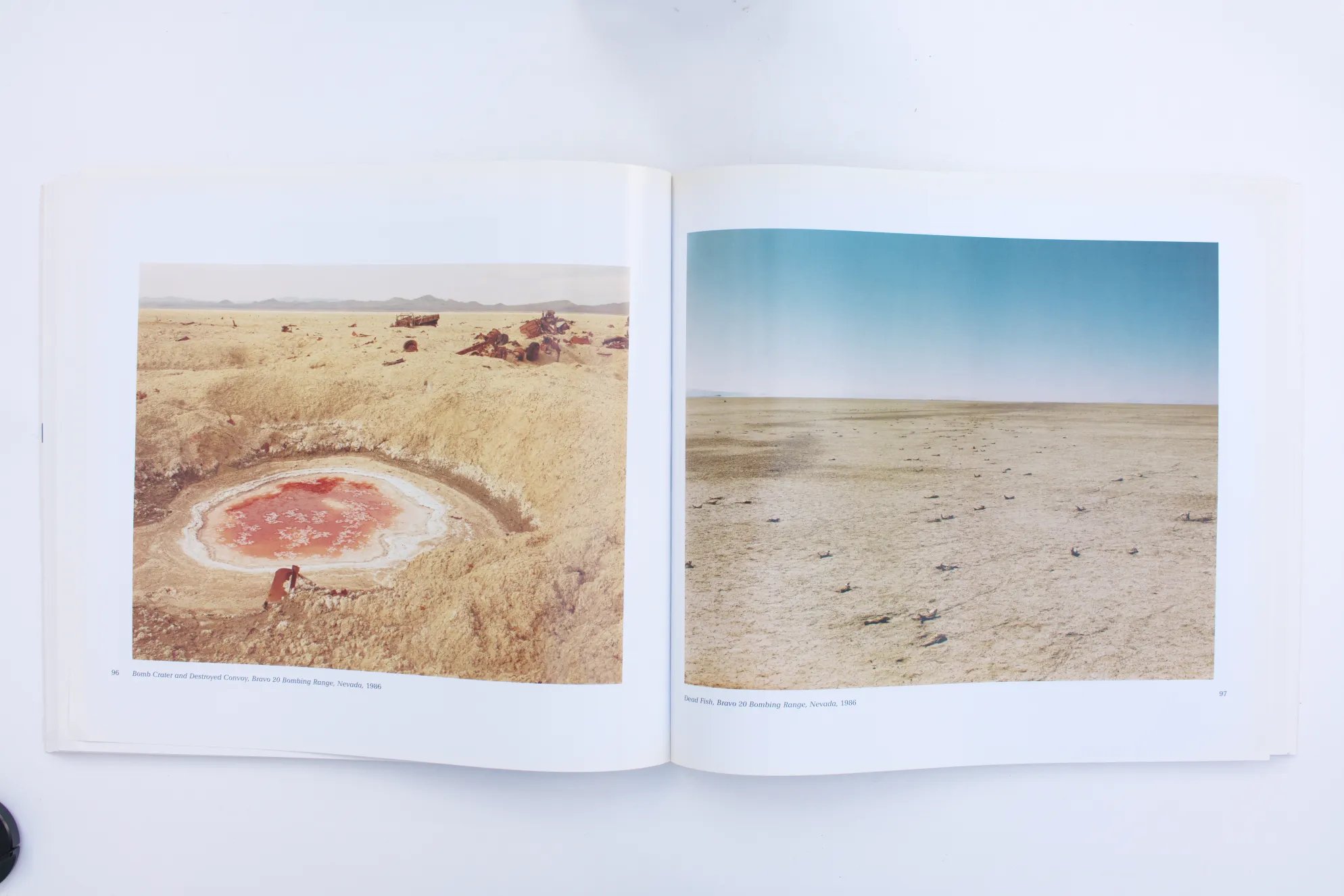 Richard Misrach. 3.jpg