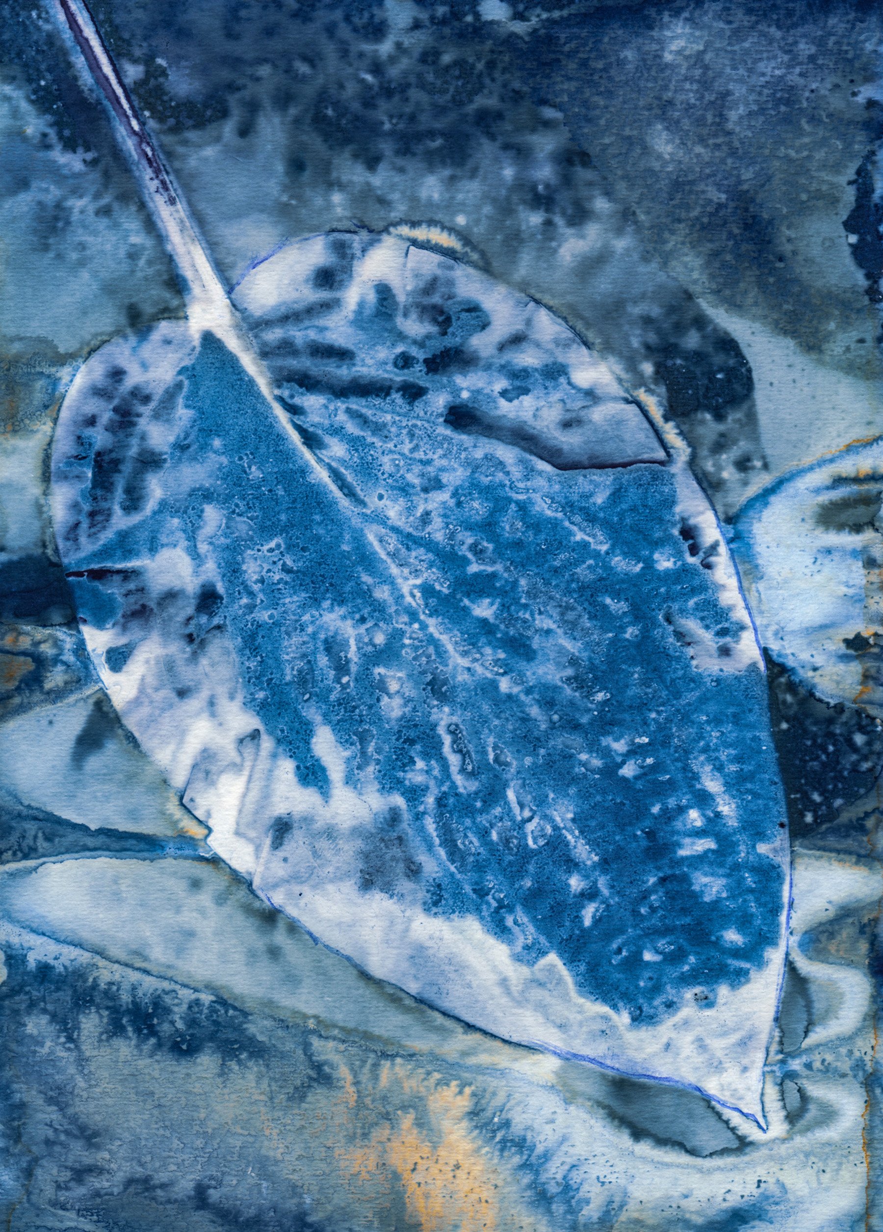 A close-up watercolor painting of a lemon slice with shades of blue and white.