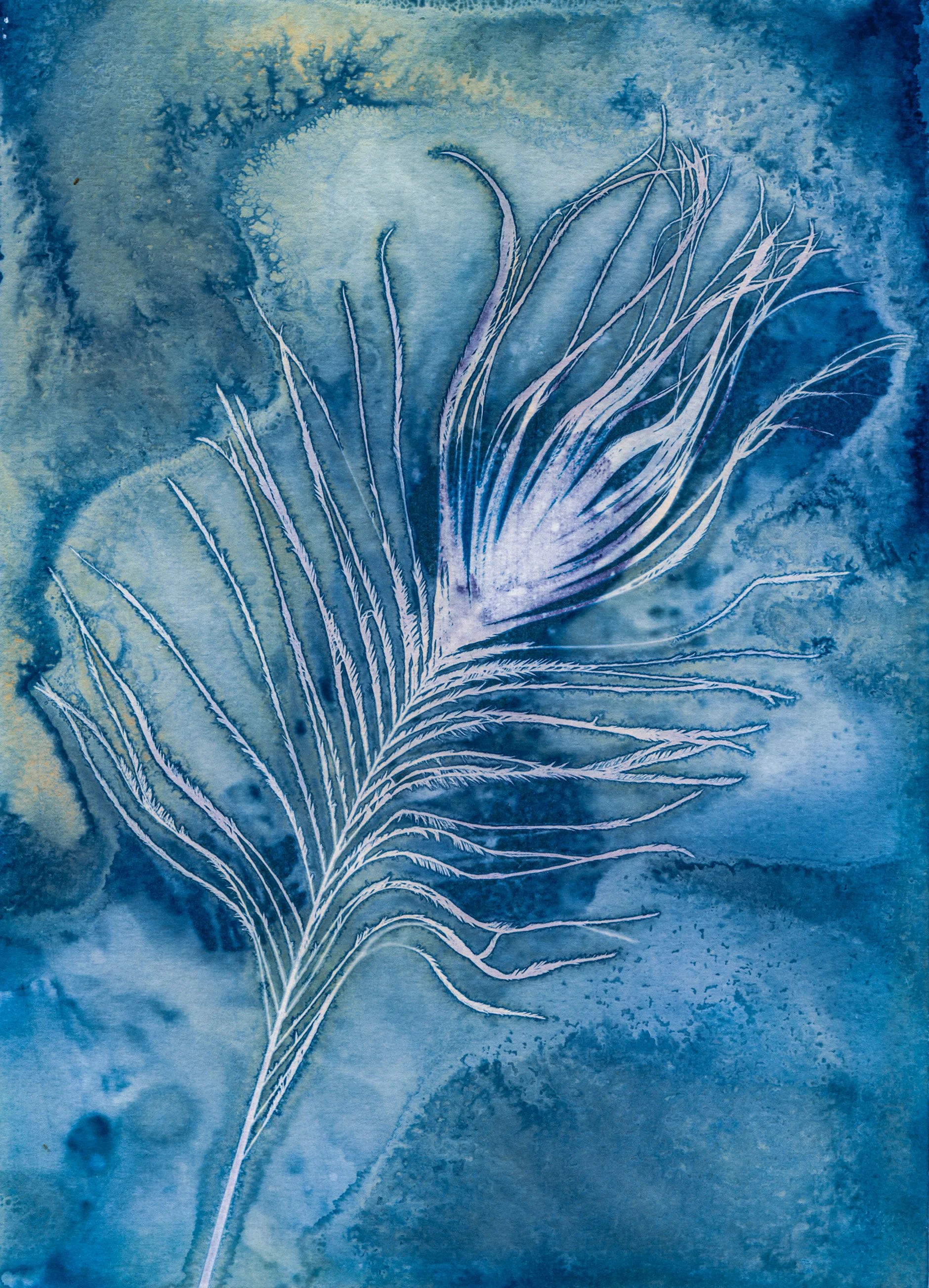 Feathers