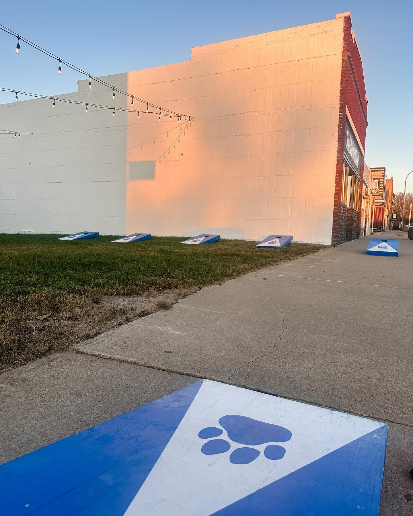 We had some extra special guests in our green space last night. 💙

I always love seeing the WC Football 🏈 team-building on Thursday nights and especially loved that HG could lend a hand.

(Oddly, they didn&rsquo;t ask me for any decor or photo ops.