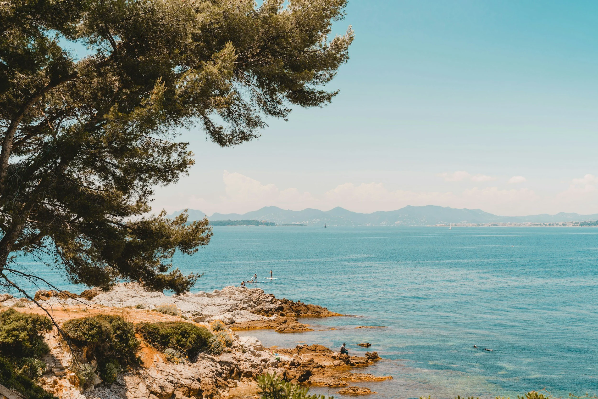 unsplash-image-f_gJ1Hof7rs.jpg