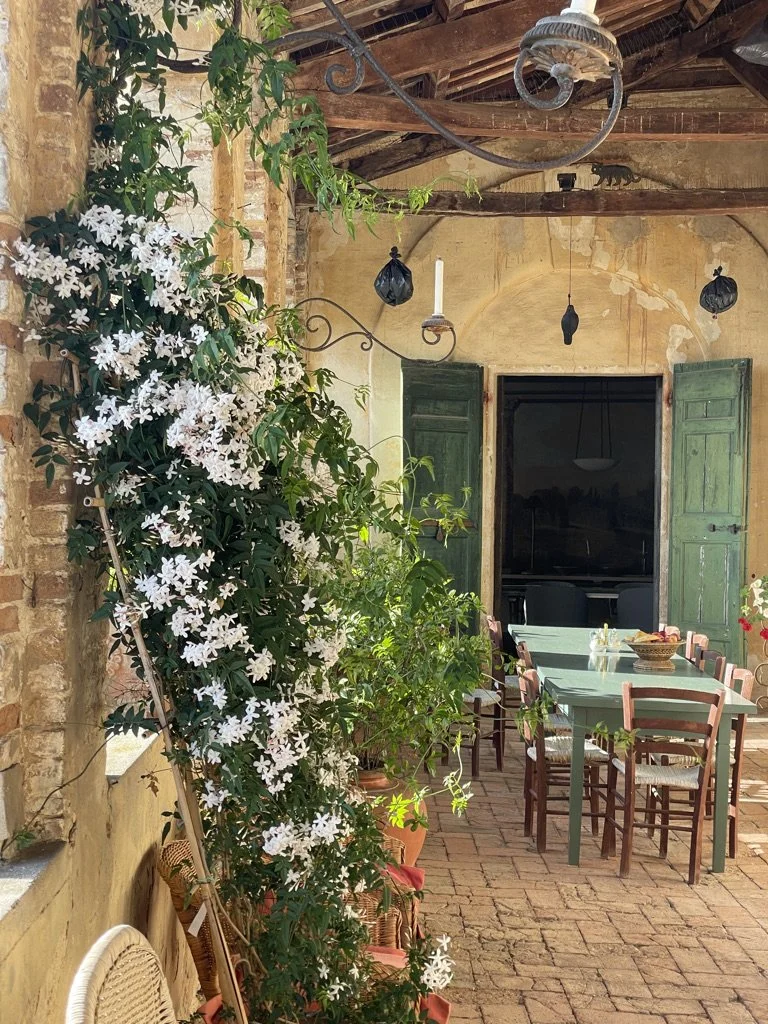 XA35C522-1422-4BB8-80D9-ED406495563D_1_105_c.palazzo olivetoeg.jpeg