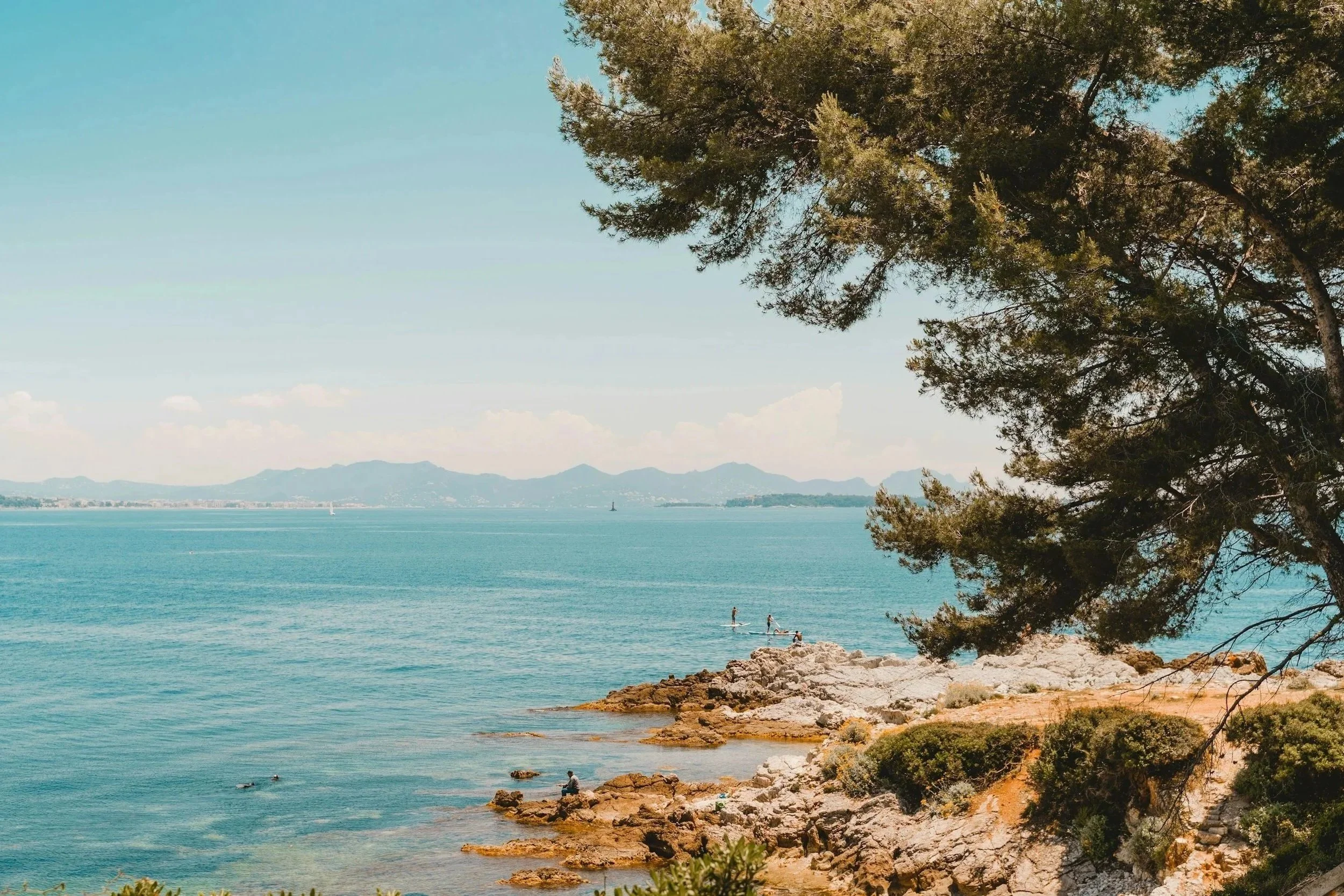 unsplash-image-f_gJ1Hof7rs.jpg