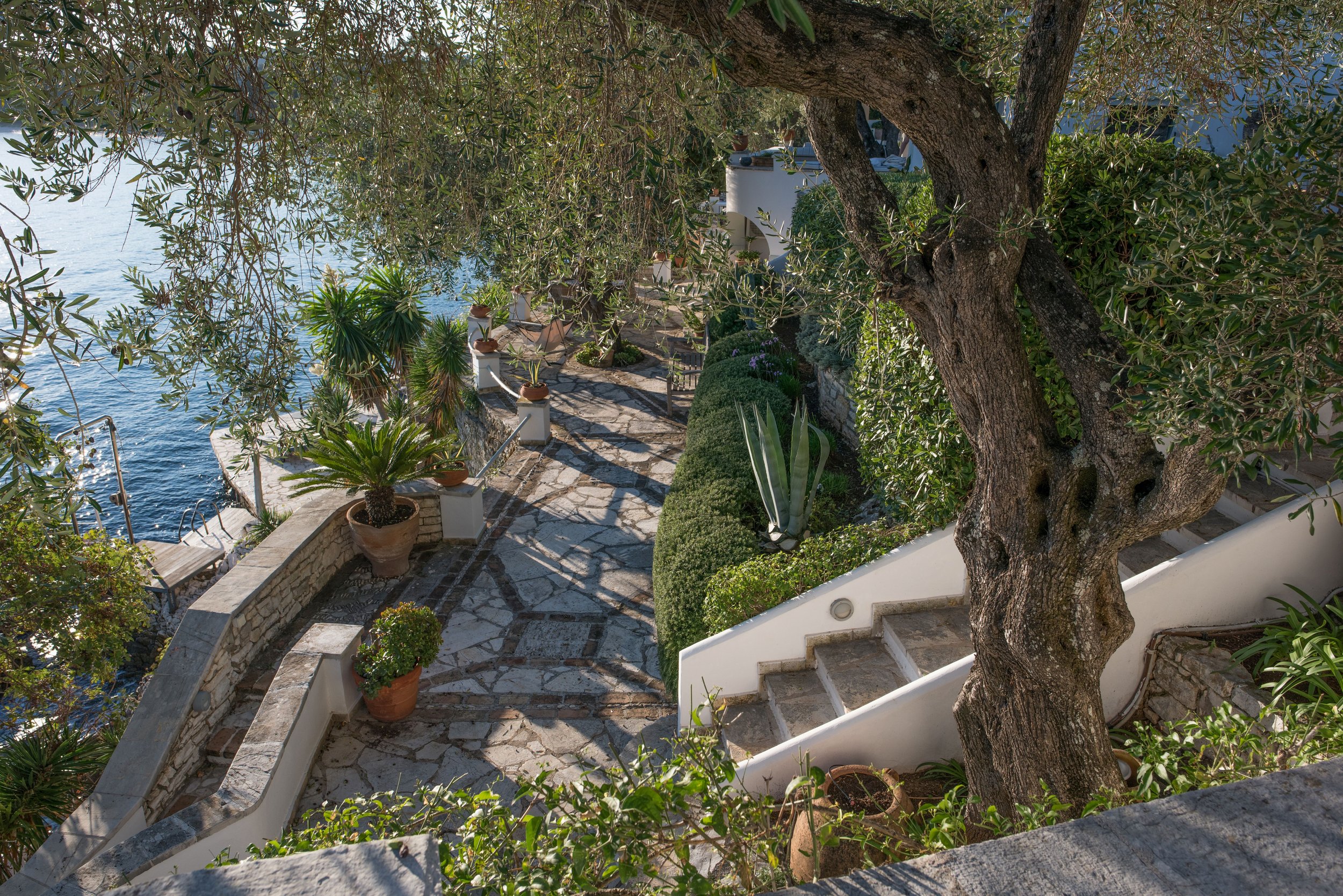 garden.jpg