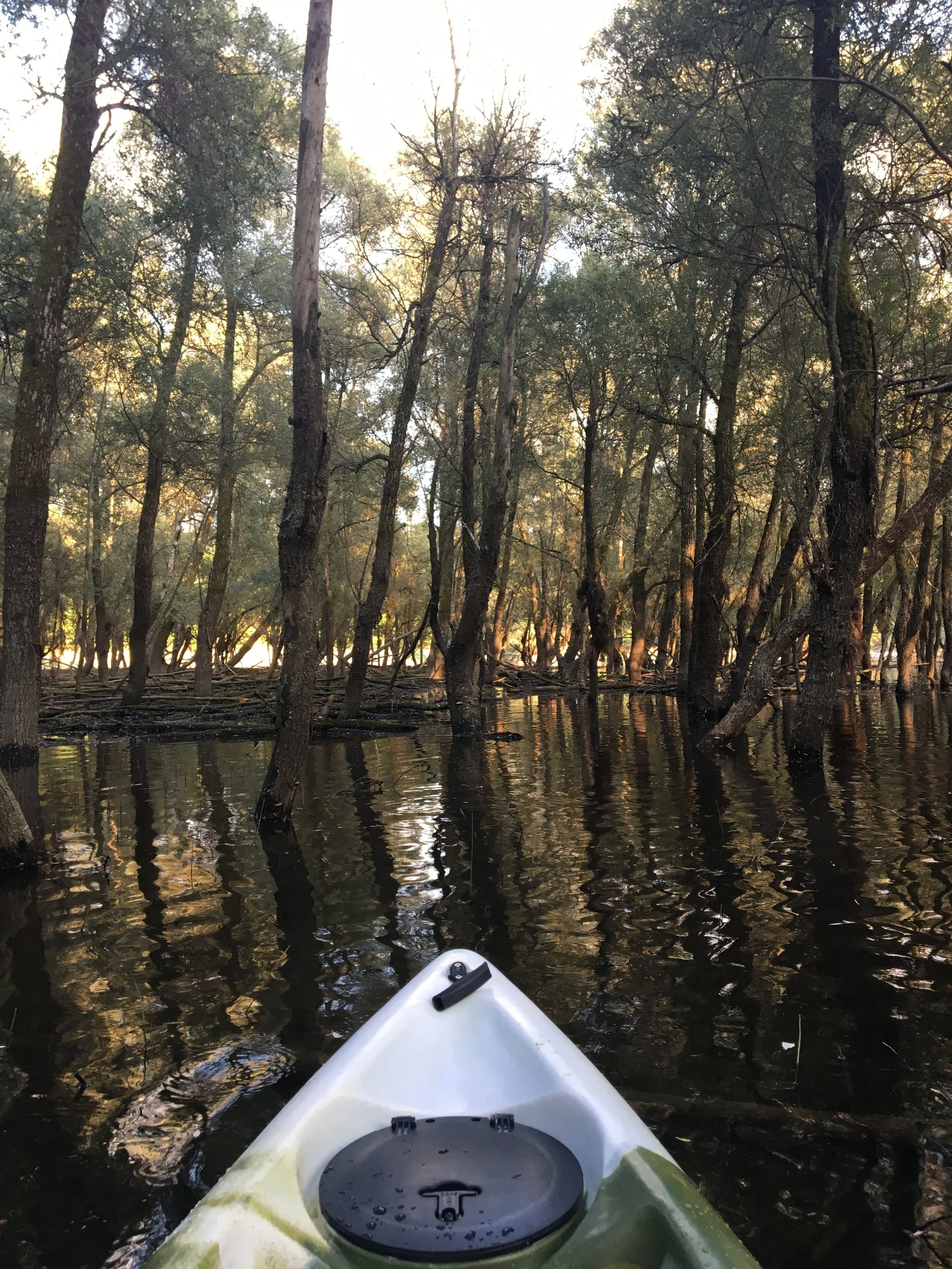 CANOE_DETAILSWOODS3.jpeg