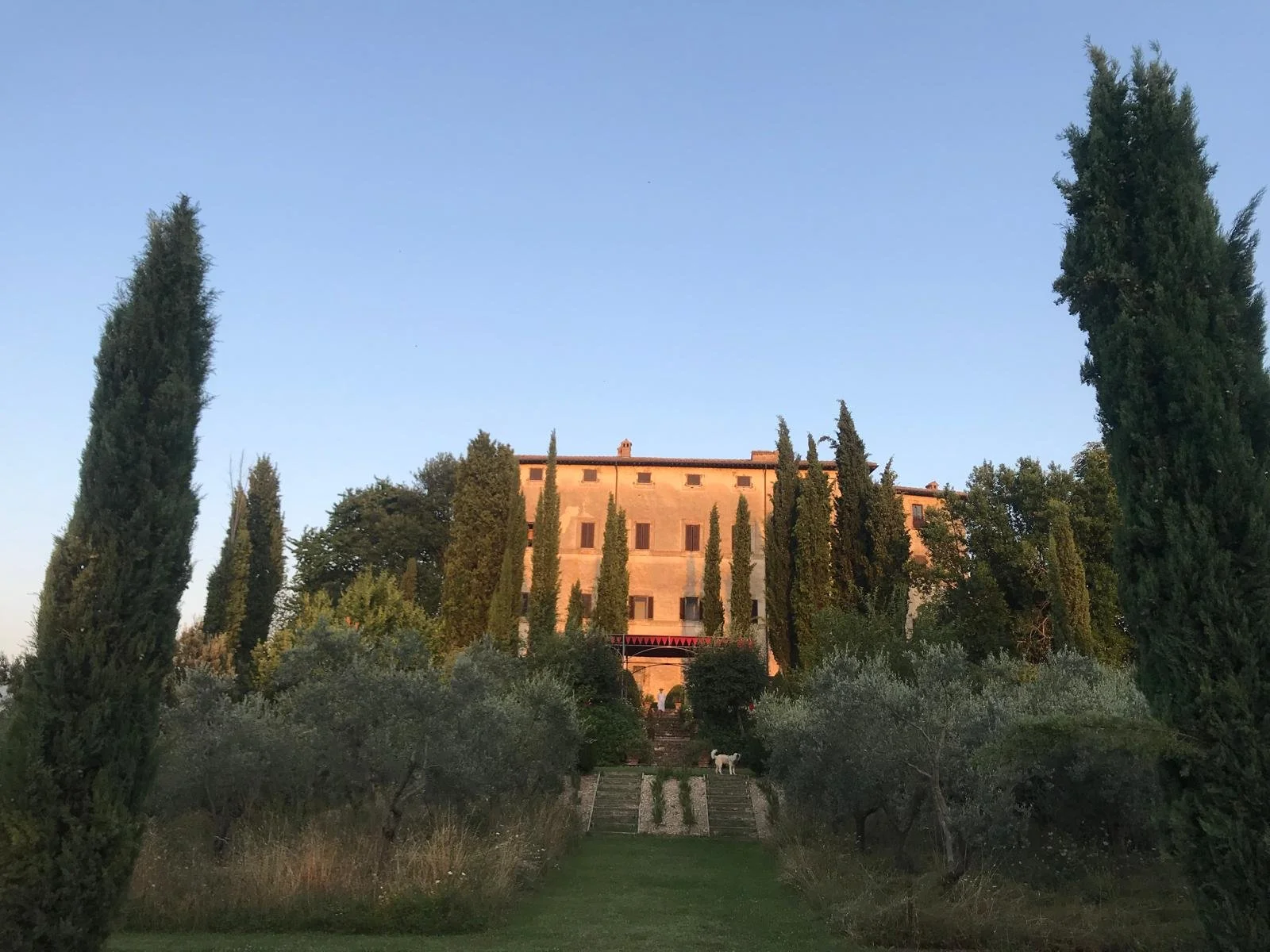 bc2c089f-db6e-4ea7-b80e-efcc55964f66.palazzo olivetog.jpg