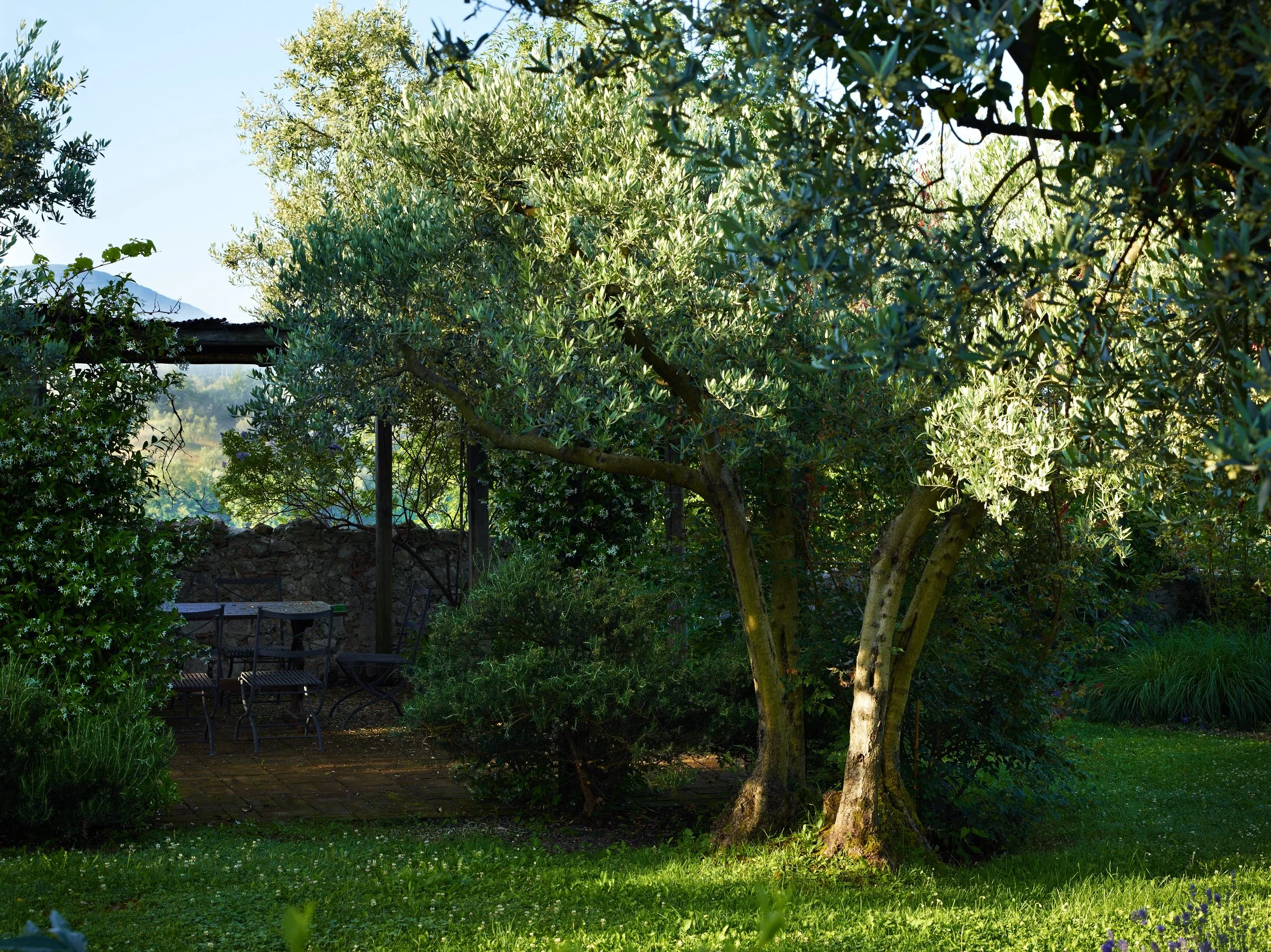 LRCF030591.palazzo olivetog.jpg