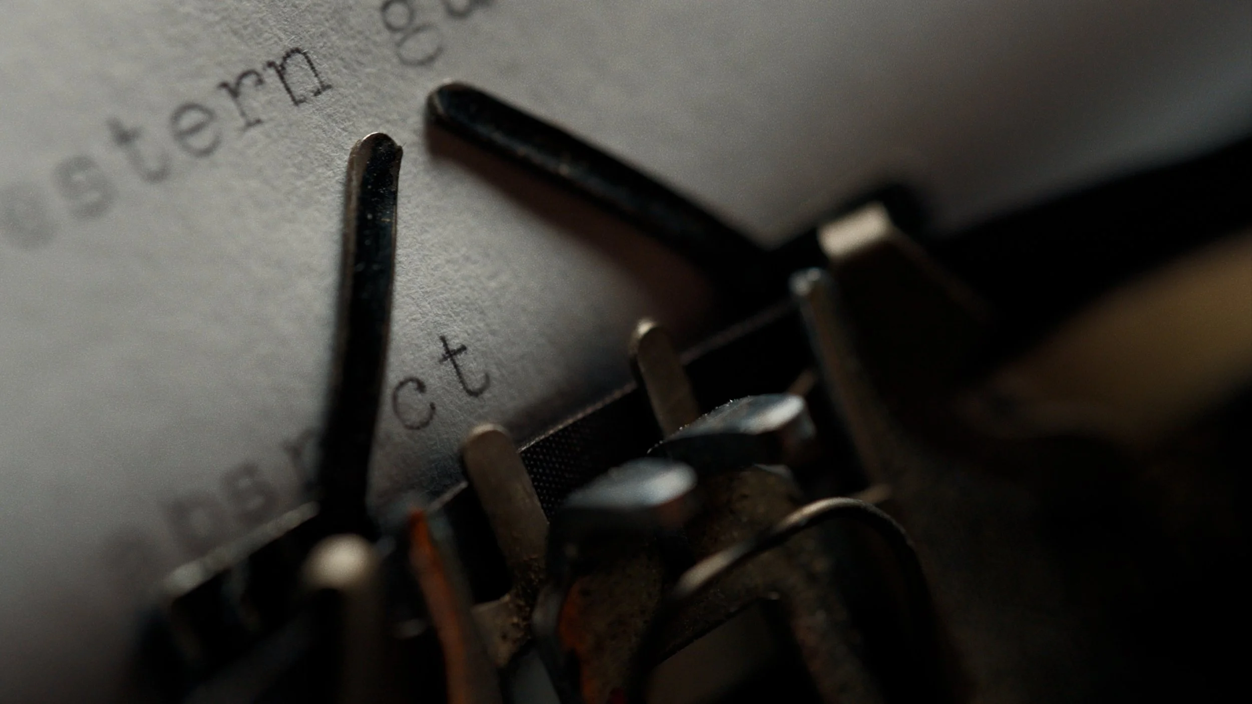 20250328_LOVE BIRDS_STEREO MASTER_PRORES4444.00_12_00_07.Still056.jpg