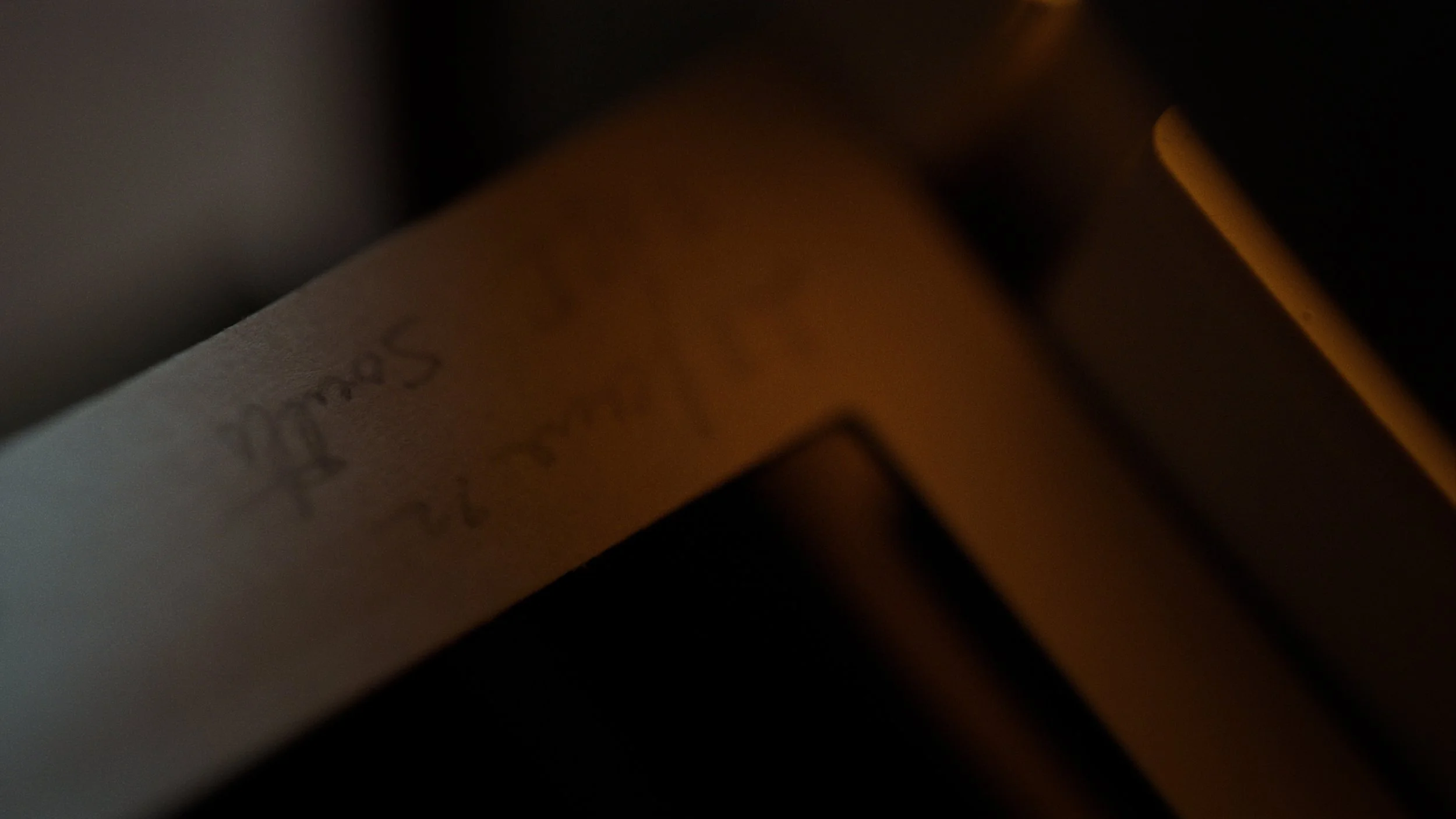 20250328_LOVE BIRDS_STEREO MASTER_PRORES4444.00_02_39_04.Still019.jpg