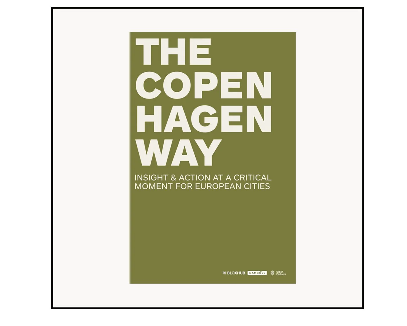 Review. The Copenhagen Way: seven lessons for climate compatible development in Brighton and Hove