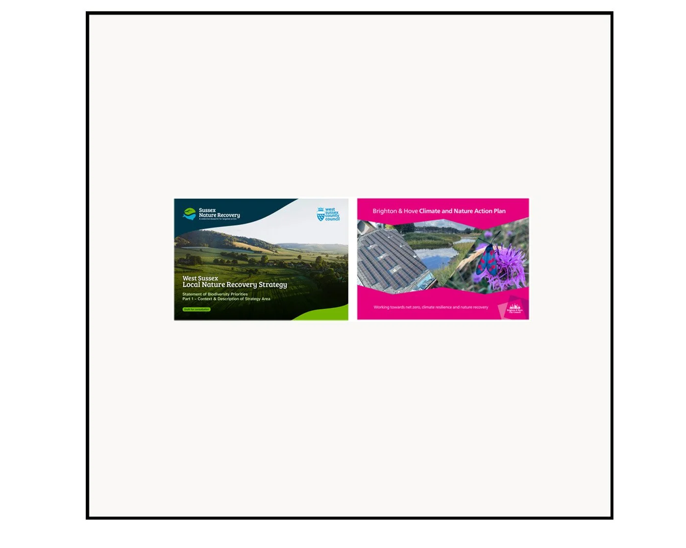 Briefing and Opinion. Four tests: Seeing the wood for the trees in our climate and nature conservation strategies