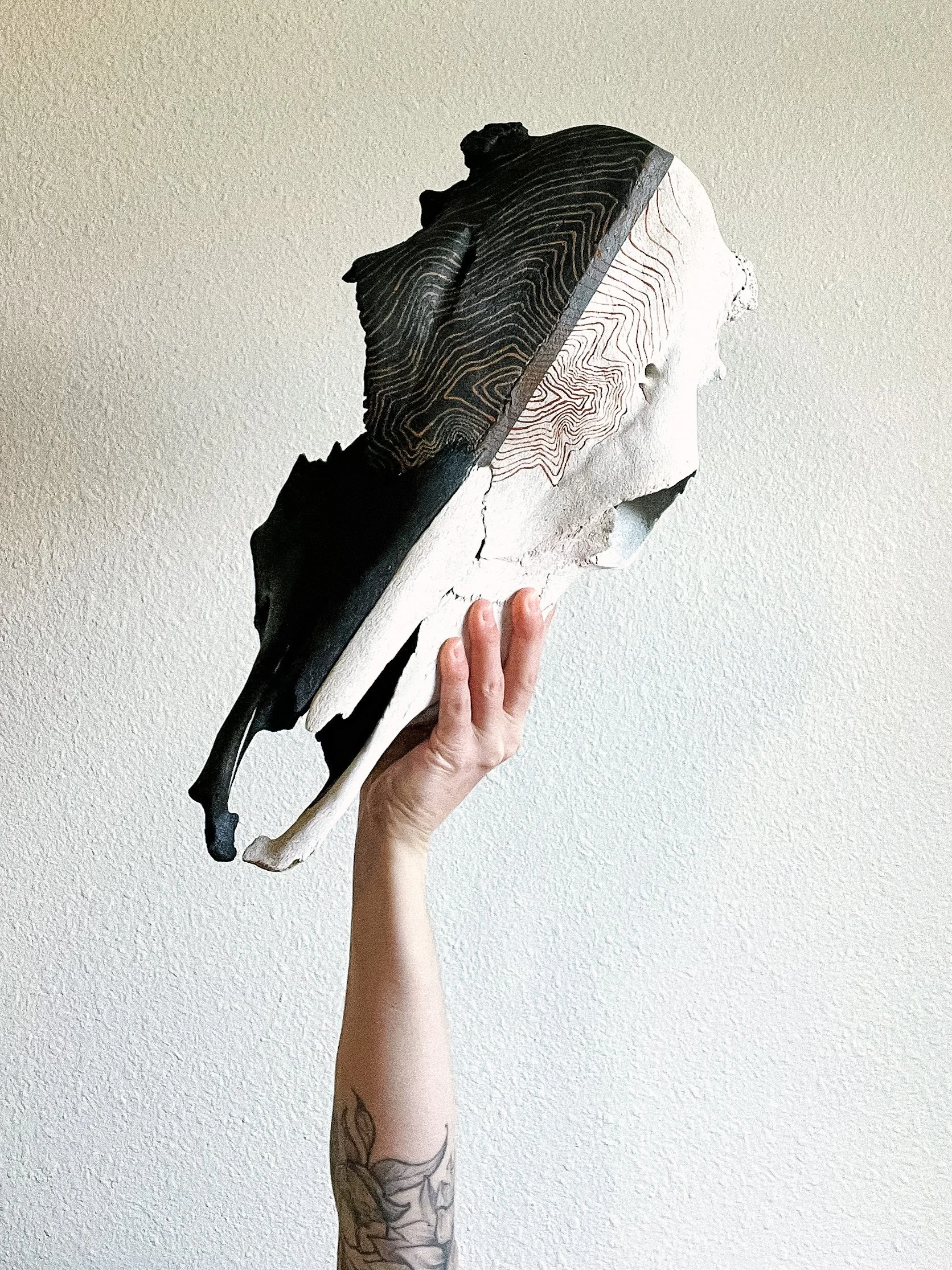 SOLD | No.01 Shadow Side | featuring a topographic map of Longs Peak