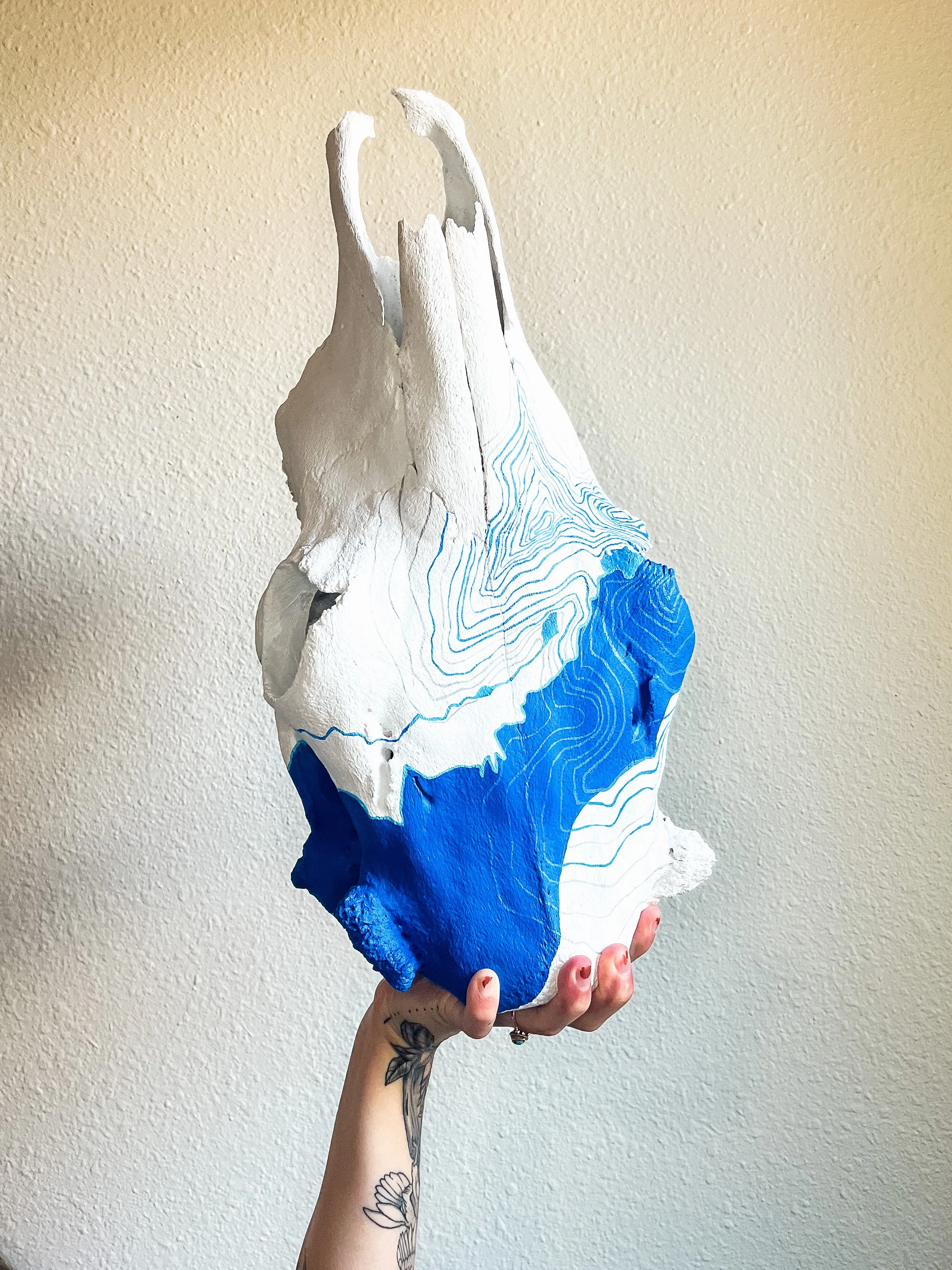 SOLD | No.02 Chasm | Topographic map of Lake Chasm which sits just below Longs Peak. 