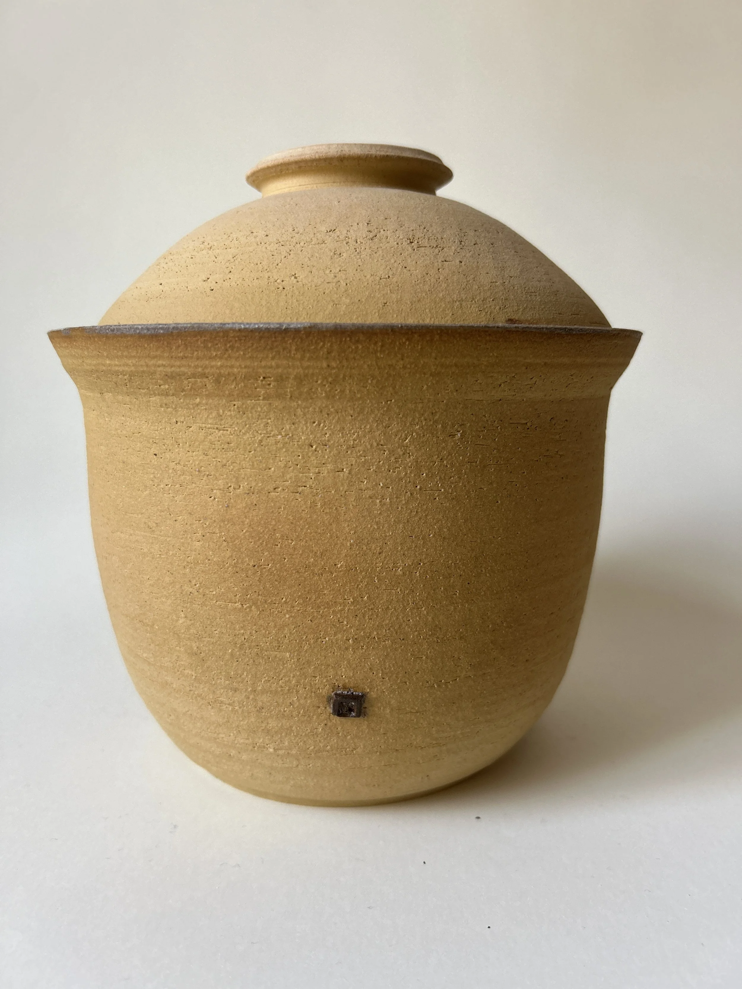 Clay pot with a rounded body, narrow neck, and wide rim, placed on a white surface against a plain background.