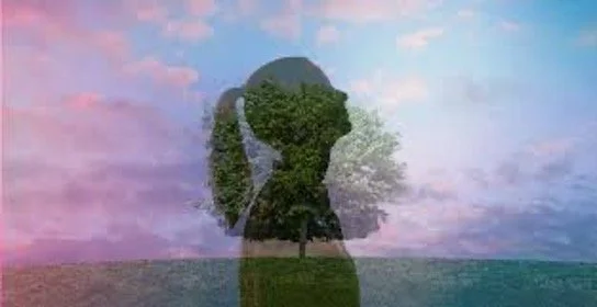 Seeking to do Church the “Right” way- part 2 of 3