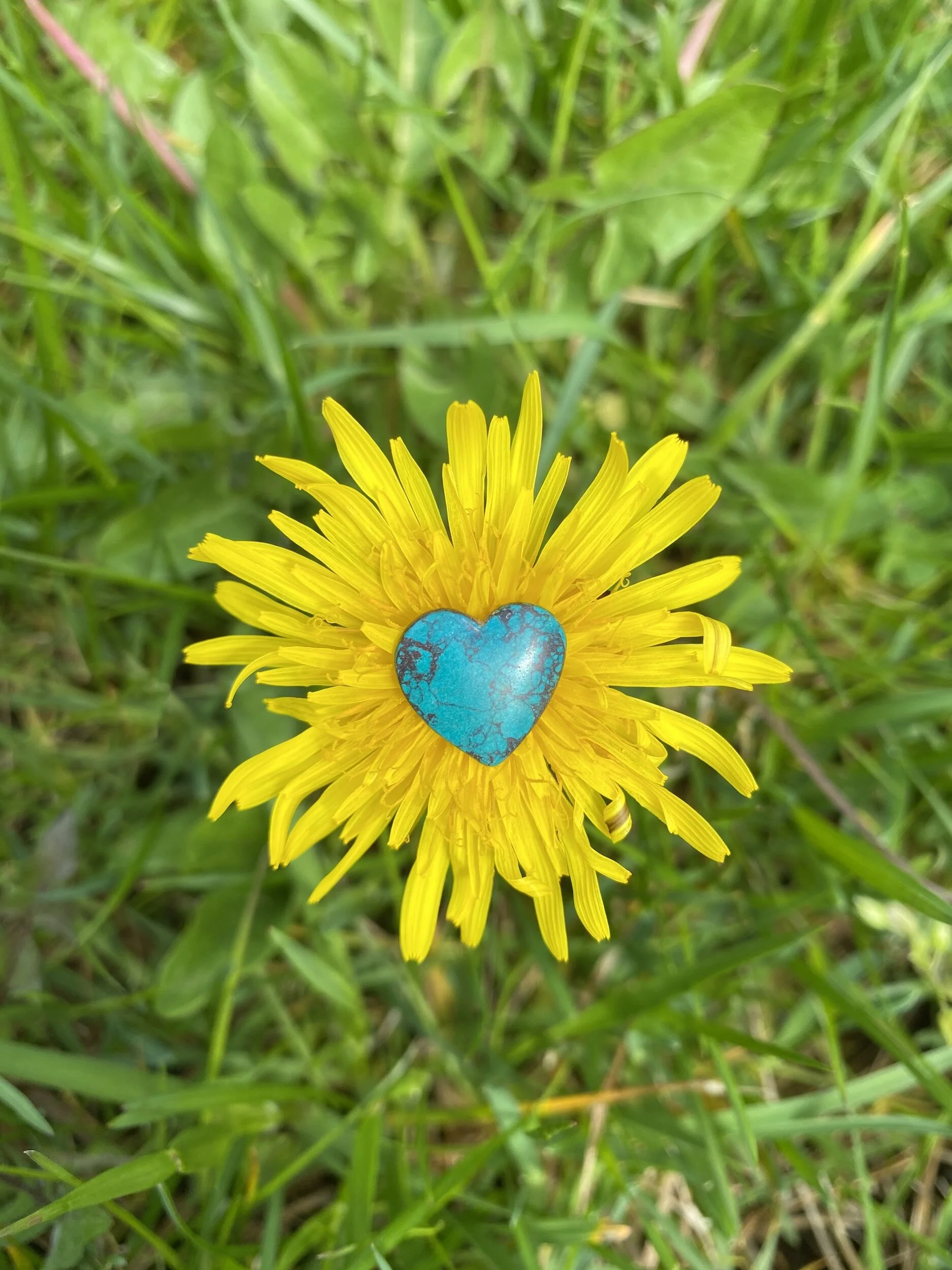 DEACONS — Westhope Presbyterian Church