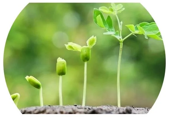 Treasuring and Growing