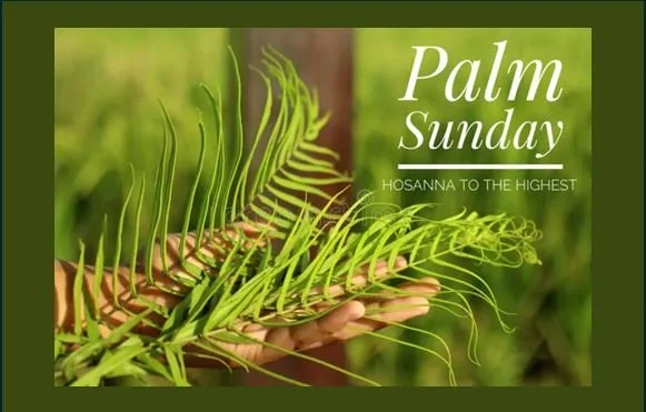 The Deeper Truth: What Are the Stones Crying Out?