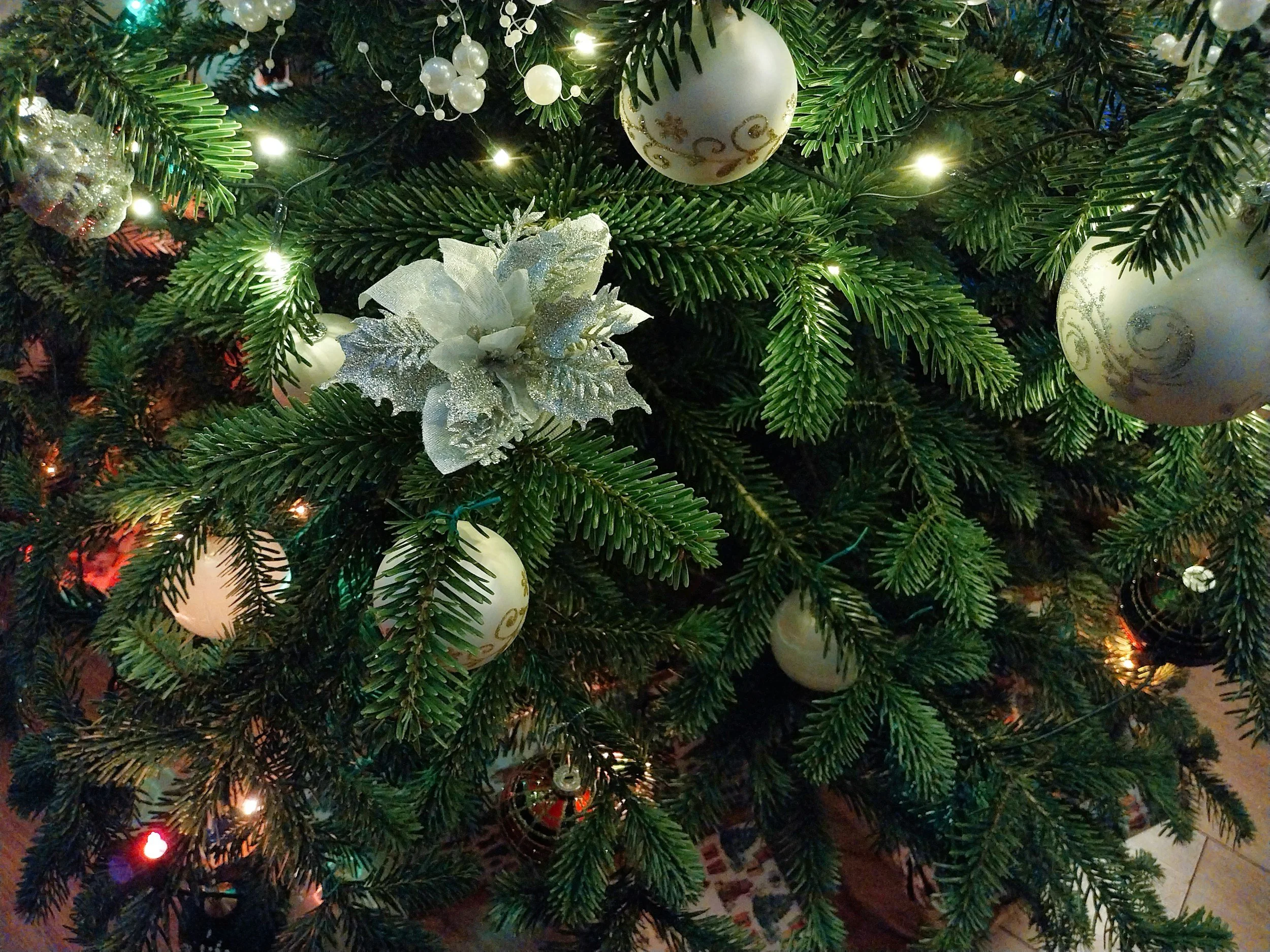 Hanging of the Greens