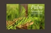 Palm Sunday: Revealing and Reflecting