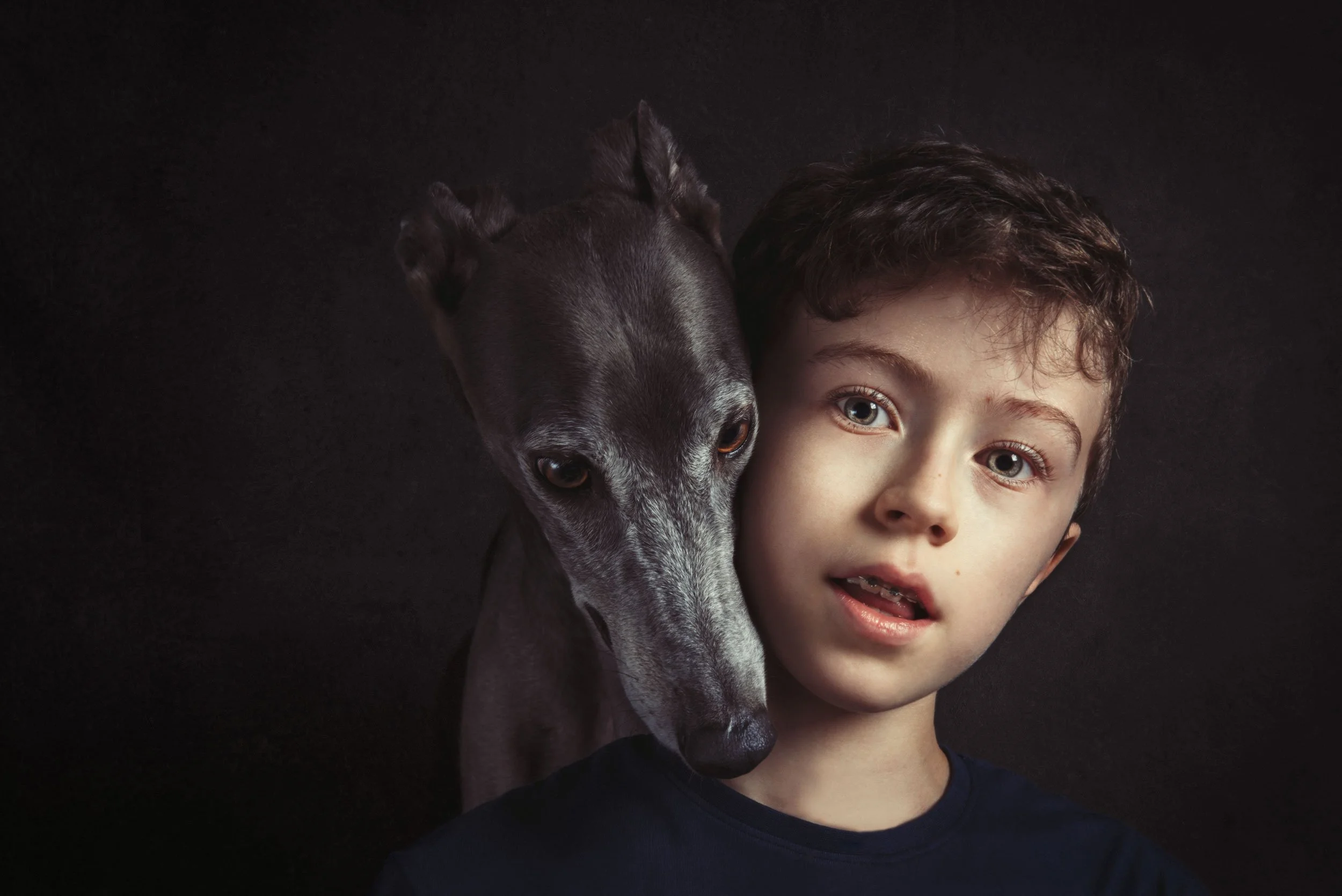 Ritratto bambino con cane levriero — Studio Legacy, Studio Hound Portraits Milano