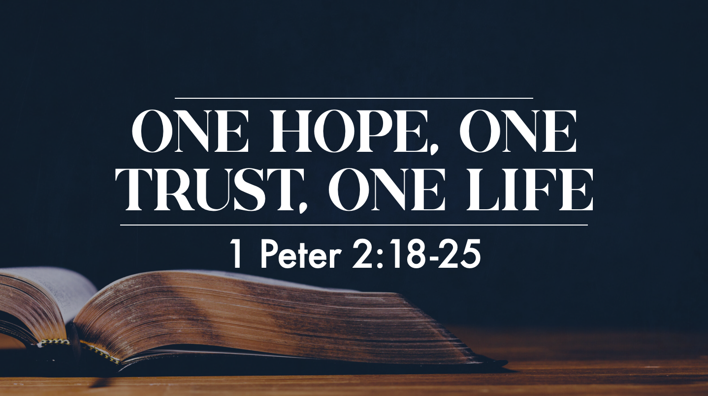 One Hope, One Trust, One, Life - 1 Peter 2:18-25