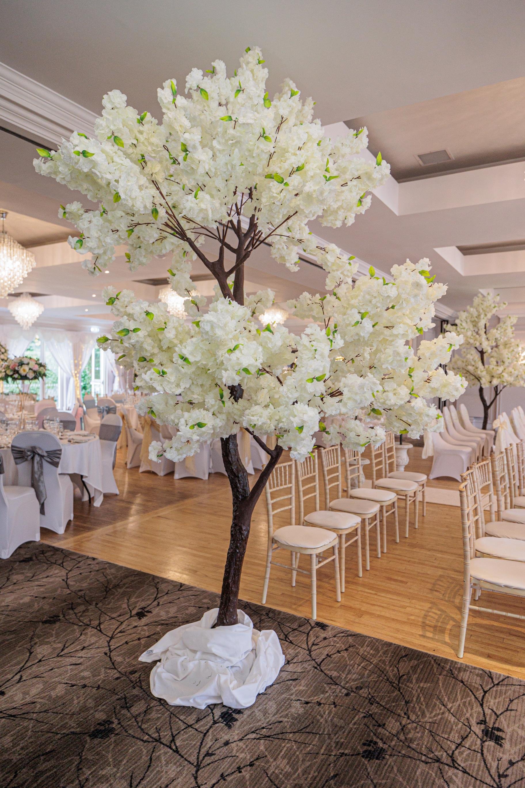 Large straight cherry blossom