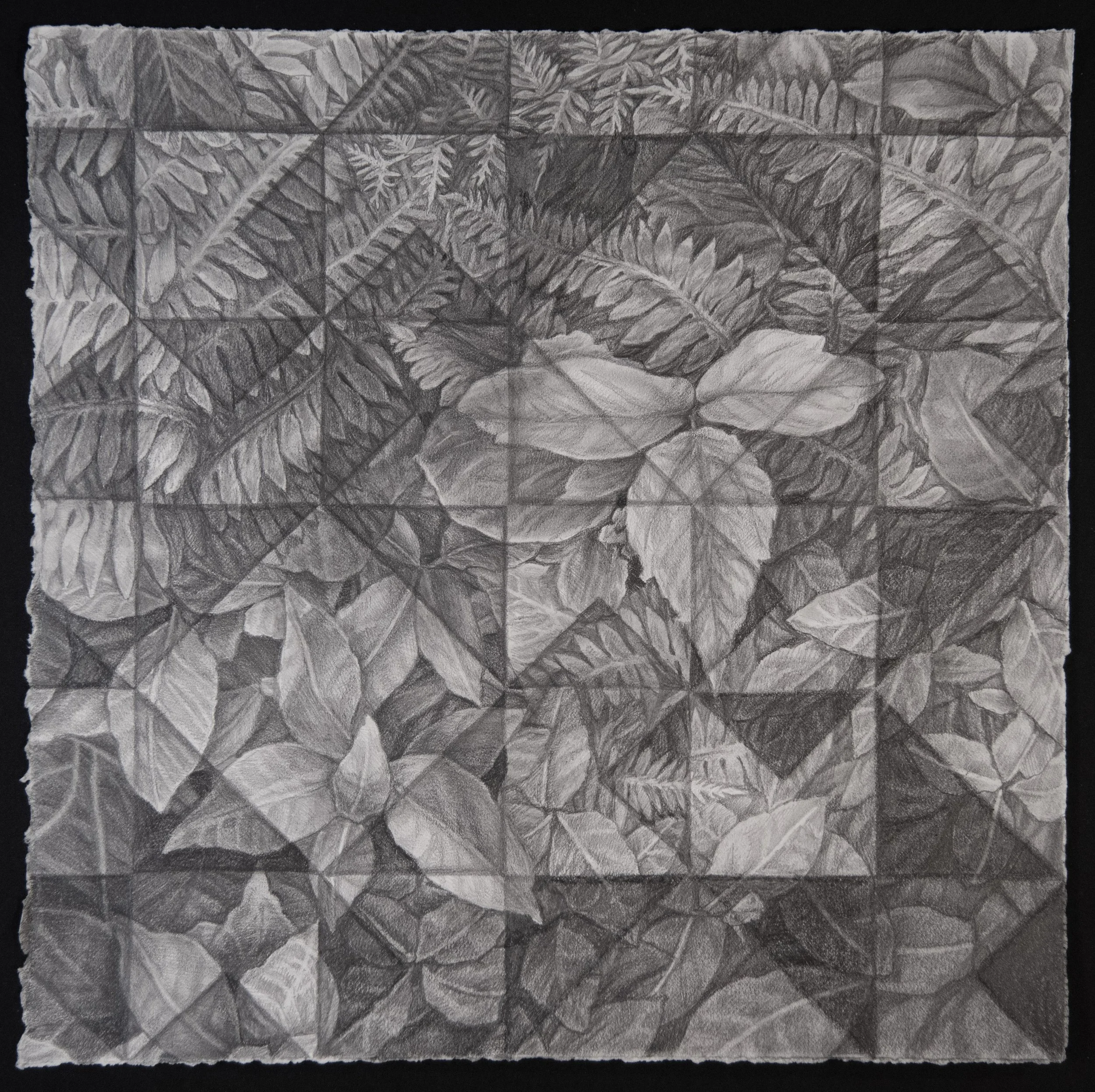 Embedded to the Root Appalachain Soil.jpg