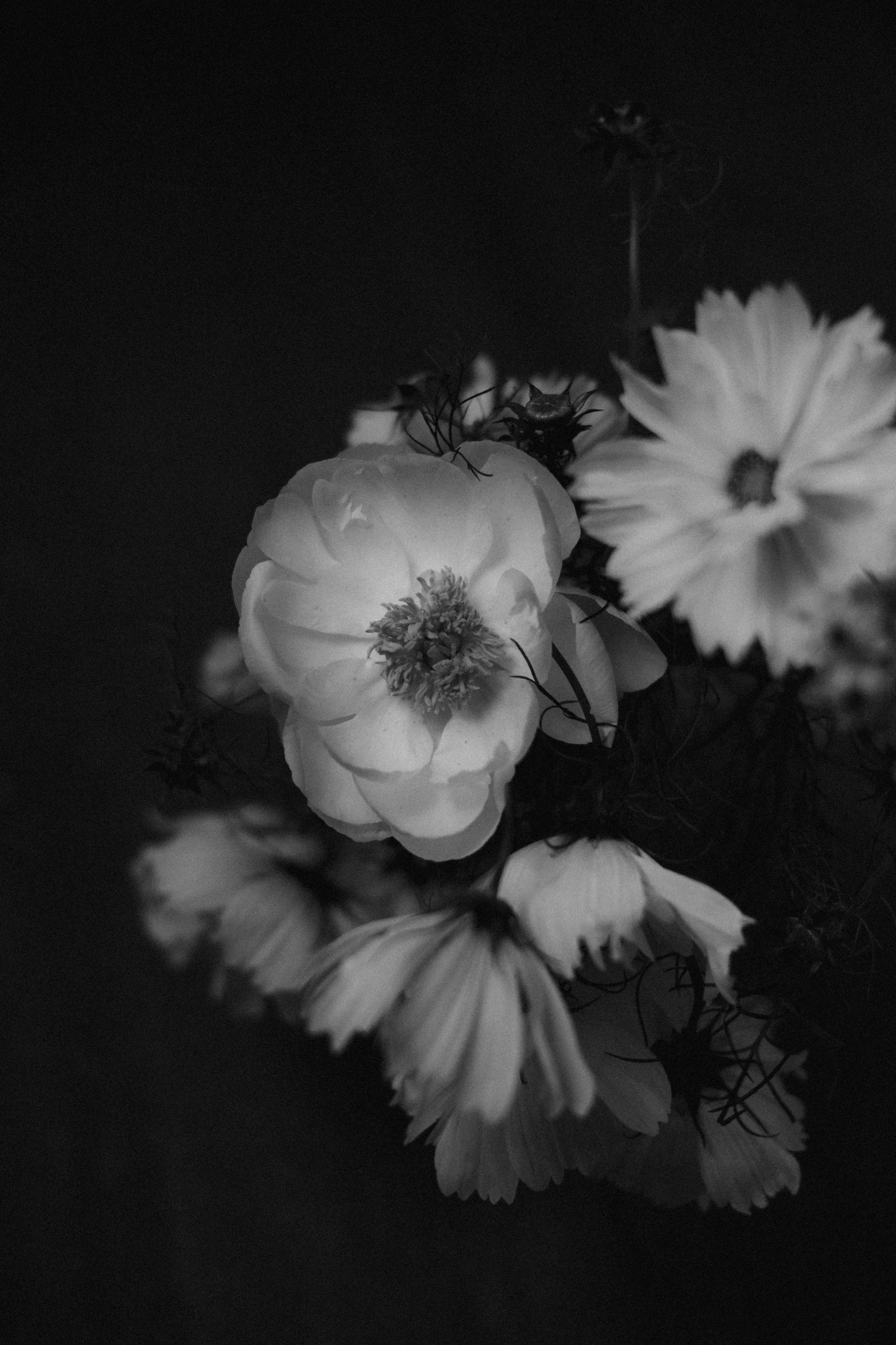 M+C_Wedding_Elisa_Rinaldi_ph-14 2.JPG