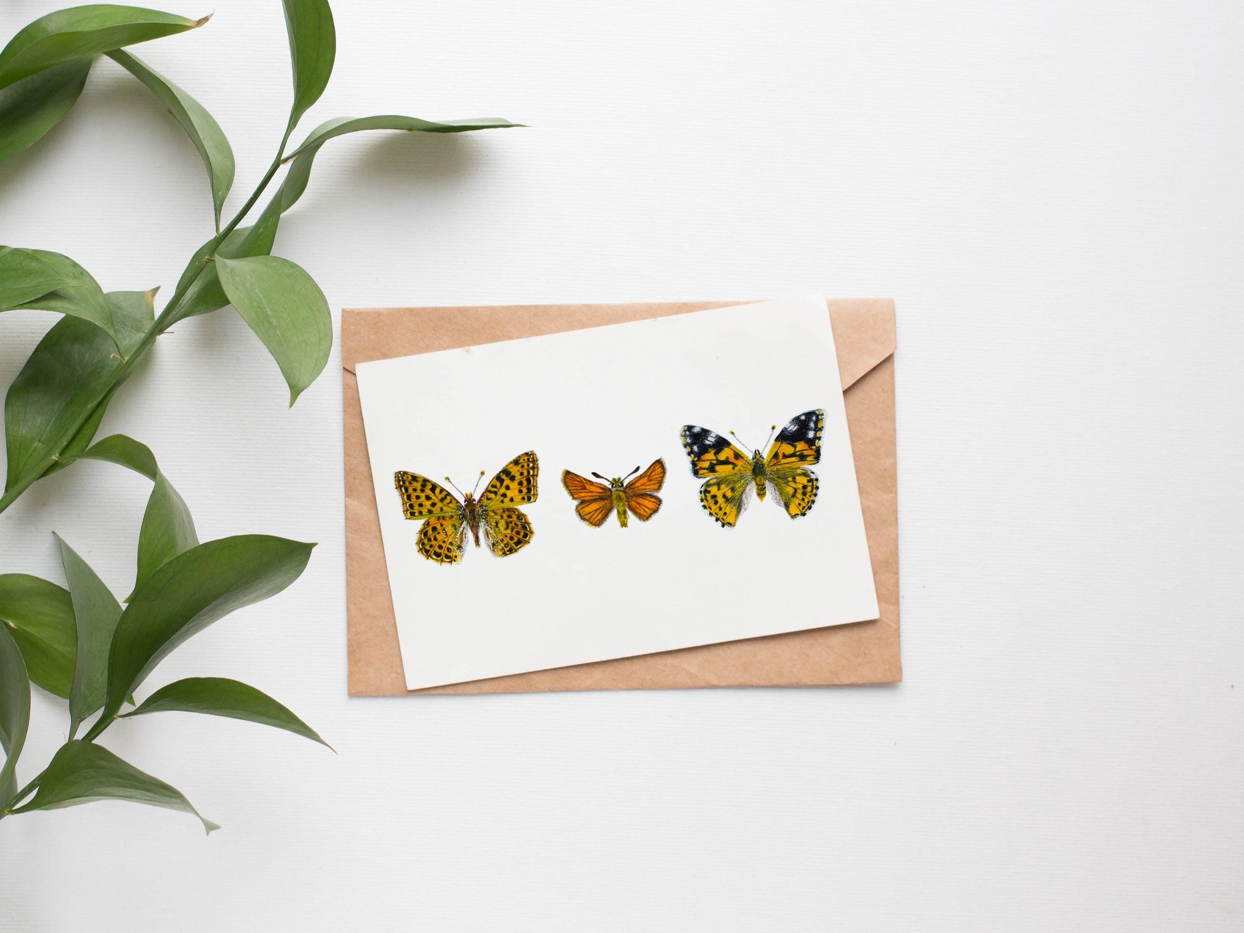 https://i.etsystatic.com/23479604/r/il/6db480/6613115012/il_fullxfull.6613115012_i1qa.jpg