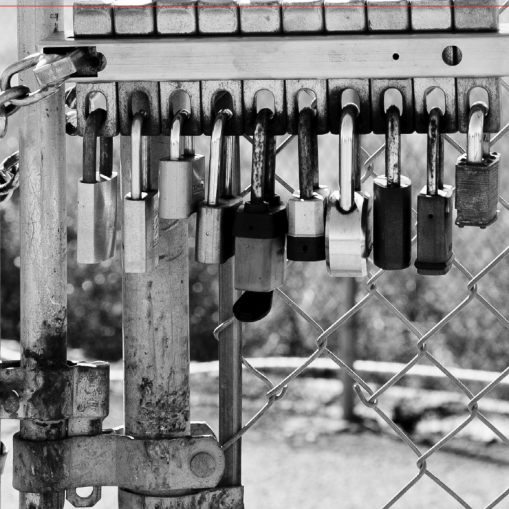 Résister au rabougrissement du pays: autodéfense intellectuelle et pouvoir de la littérature
