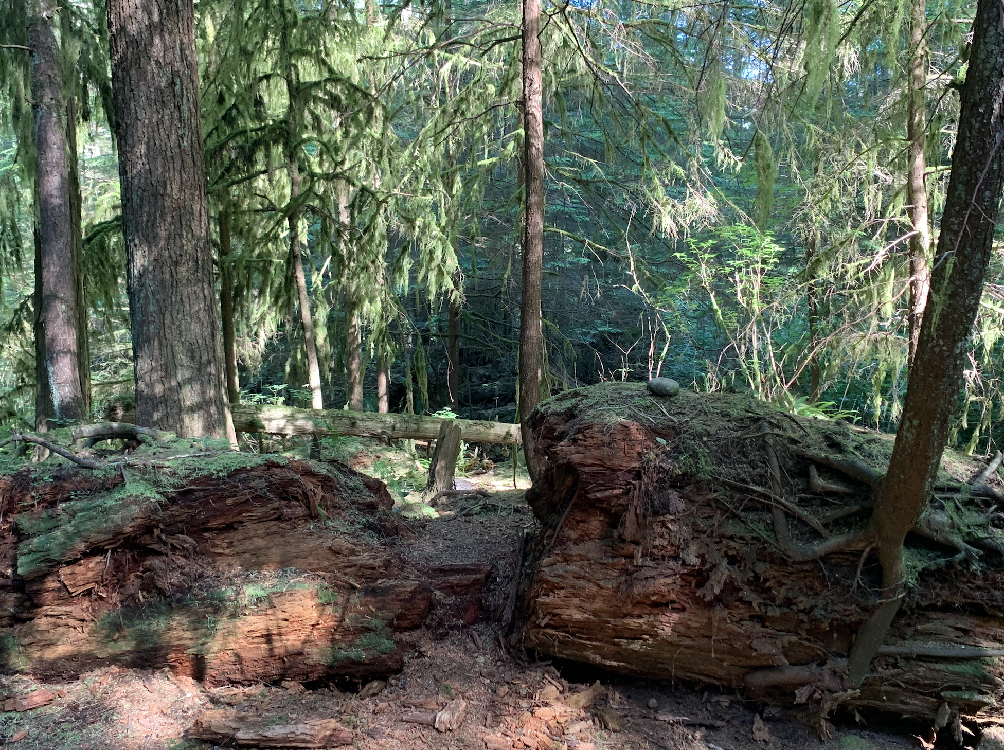 Capture d’écran, le 2026-06-23 à 16.47.24.png
