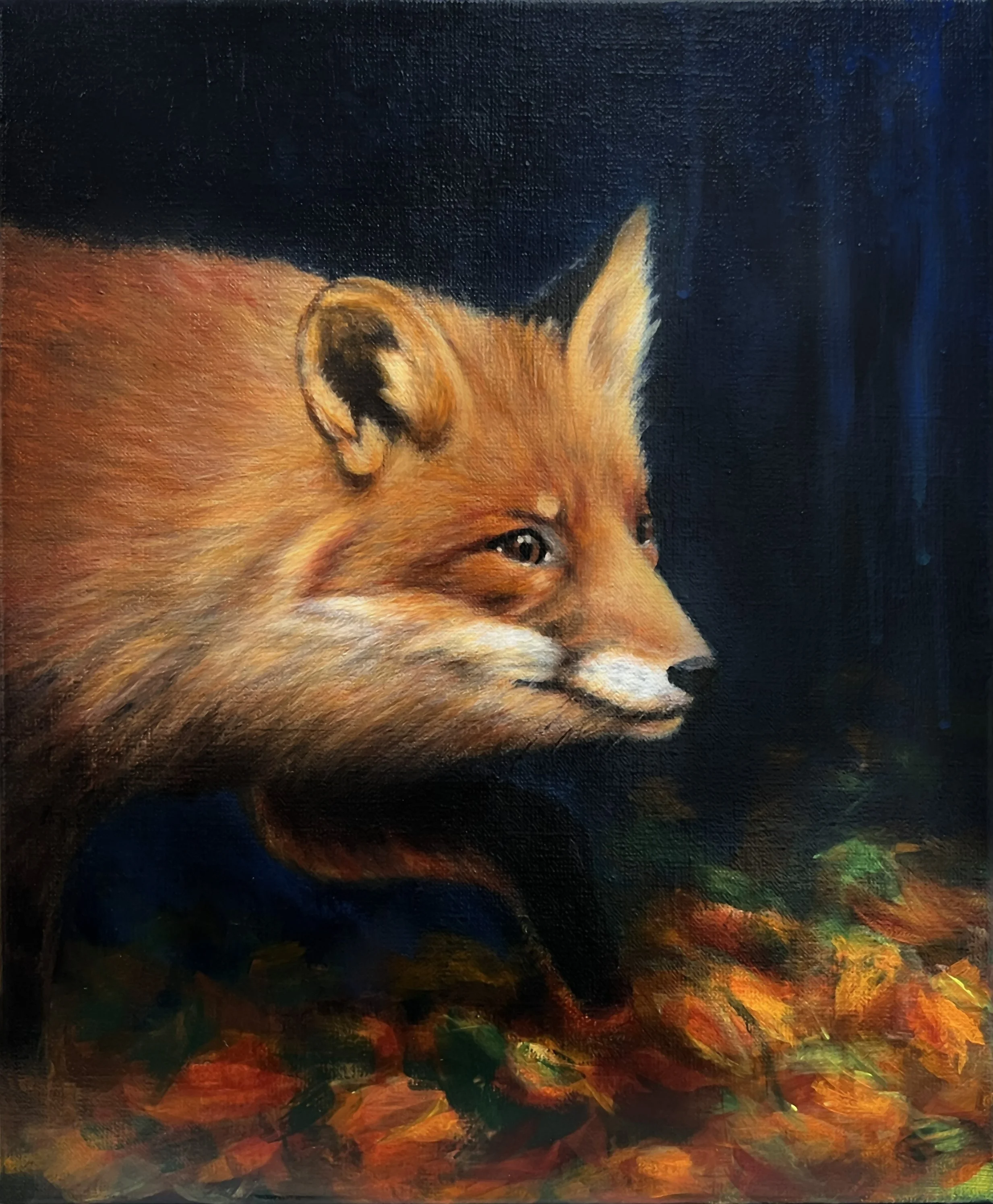 Fox.jpg